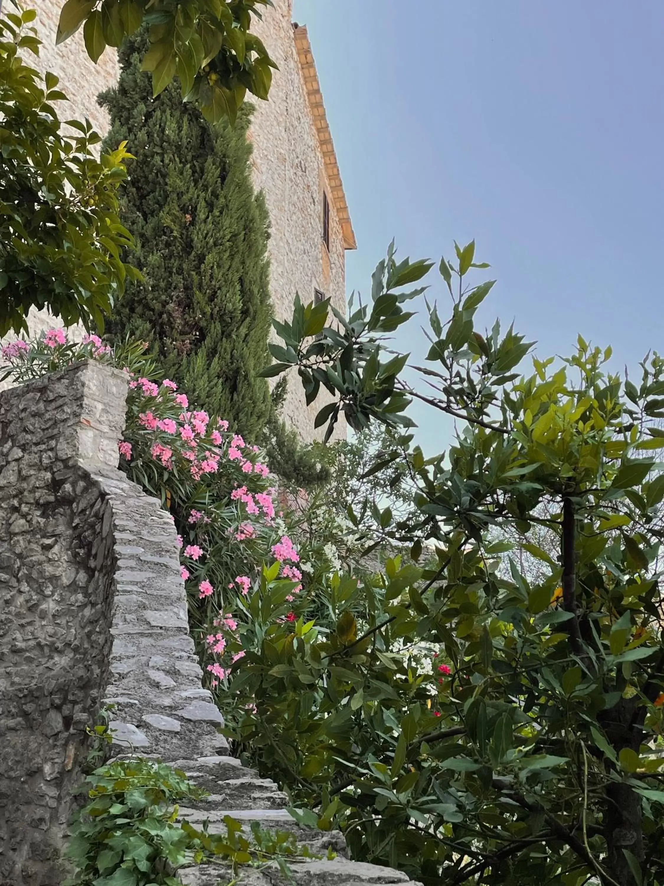 Garden in Borgo San Valentino