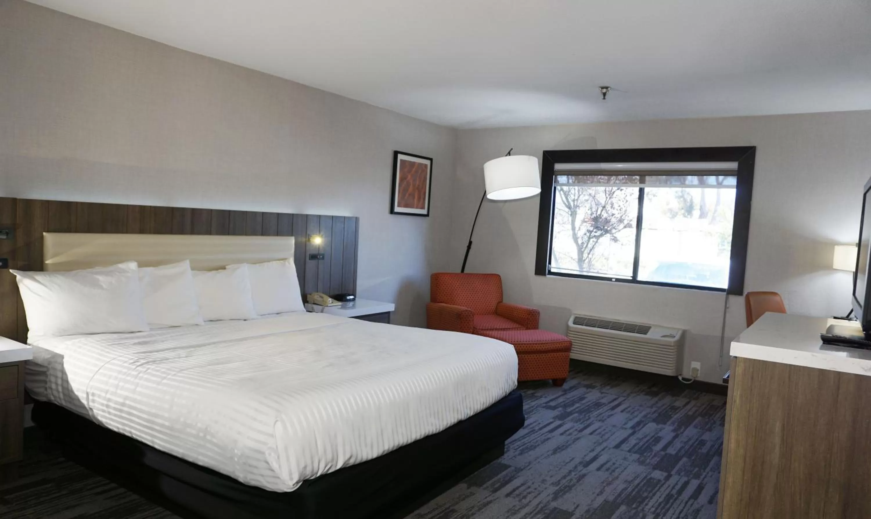 Bedroom, Bed in Modesto Hotel - Gateway to Yosemite