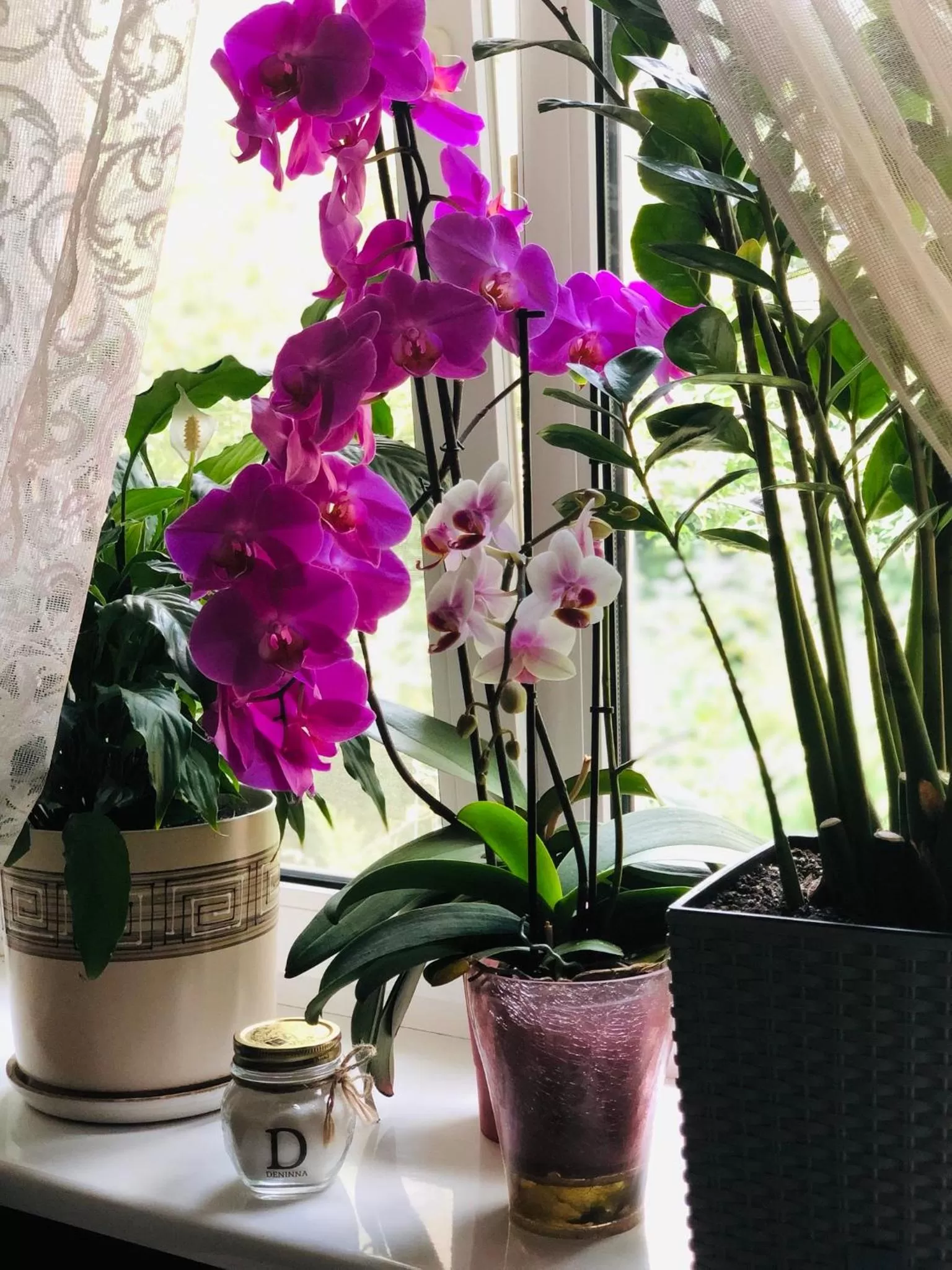 Garden view in Hotel & Spa DENINNA