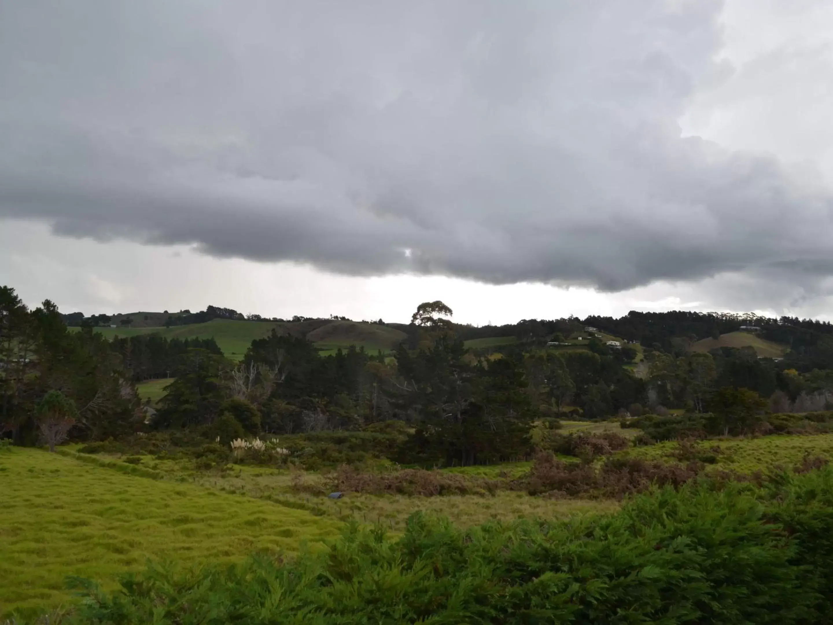 Natural Landscape in Salty Dog Inn