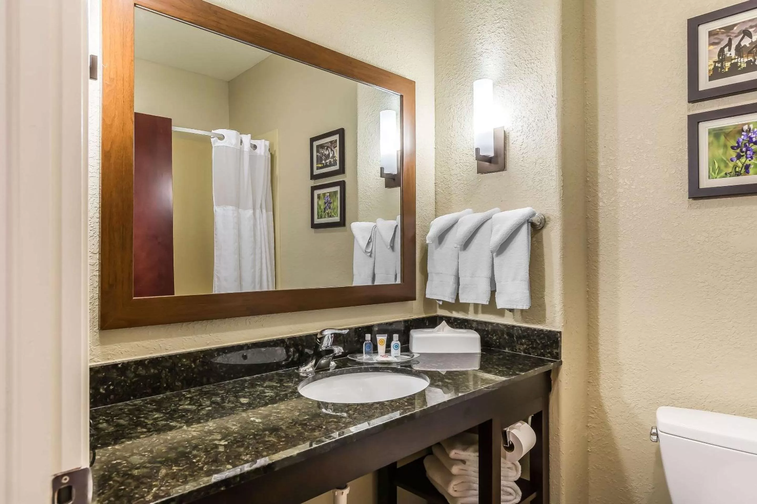 Photo of the whole room, Bathroom in Comfort Suites Houston IAH Airport - Beltway 8