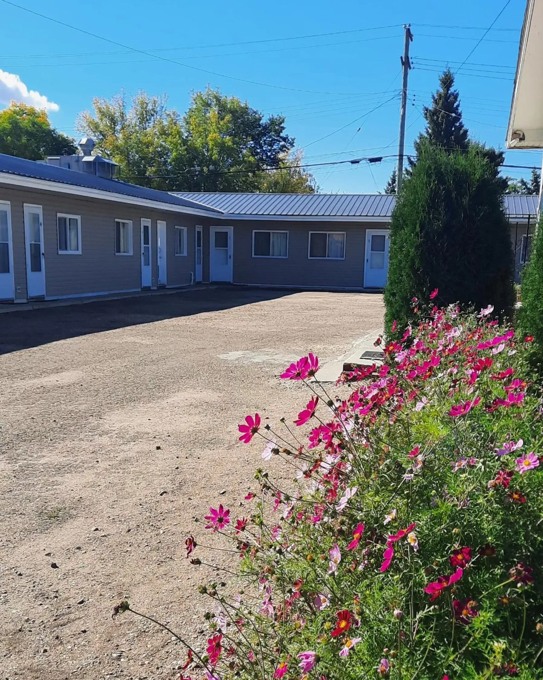 Property Building in Vista Motel