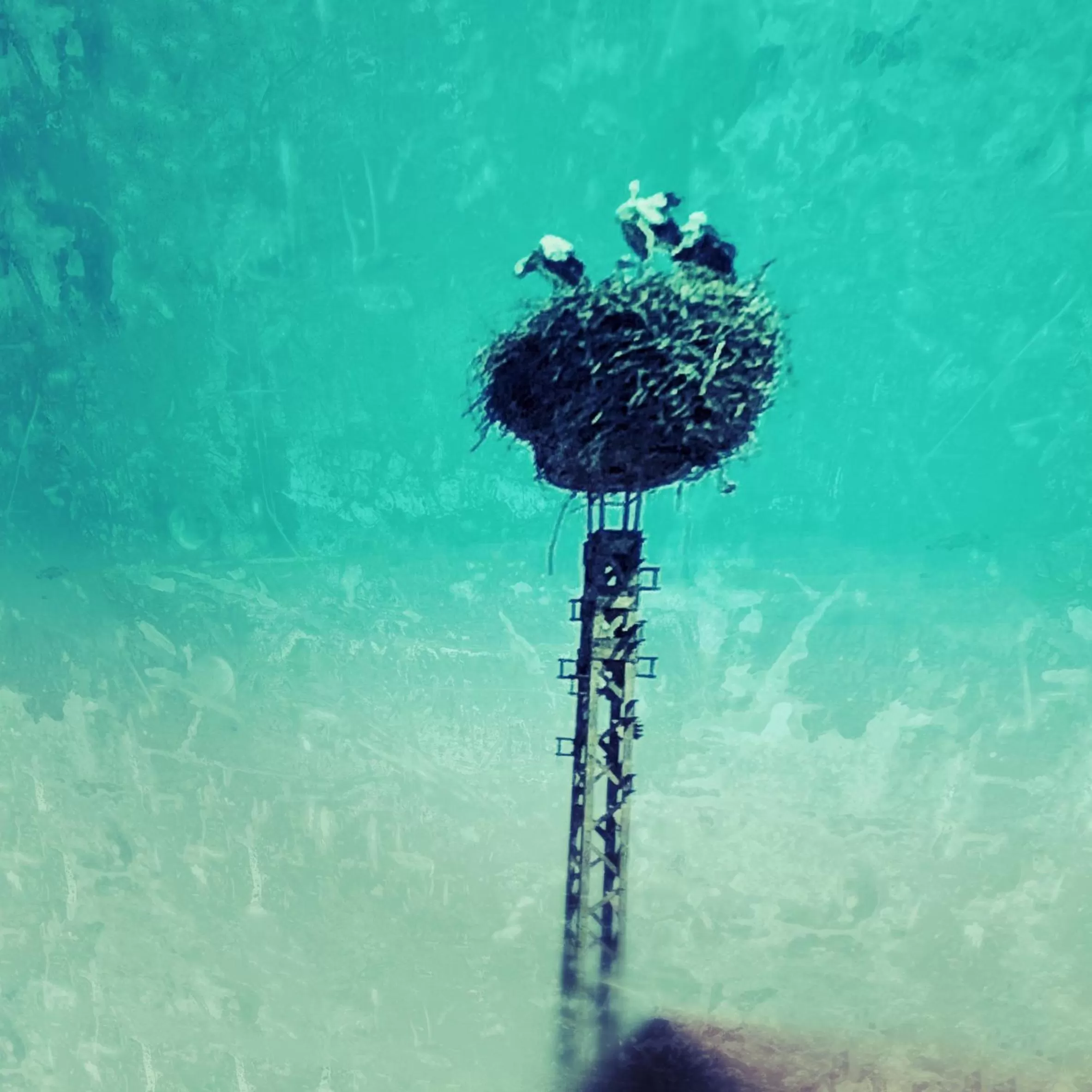 Off site in Riverside Inn