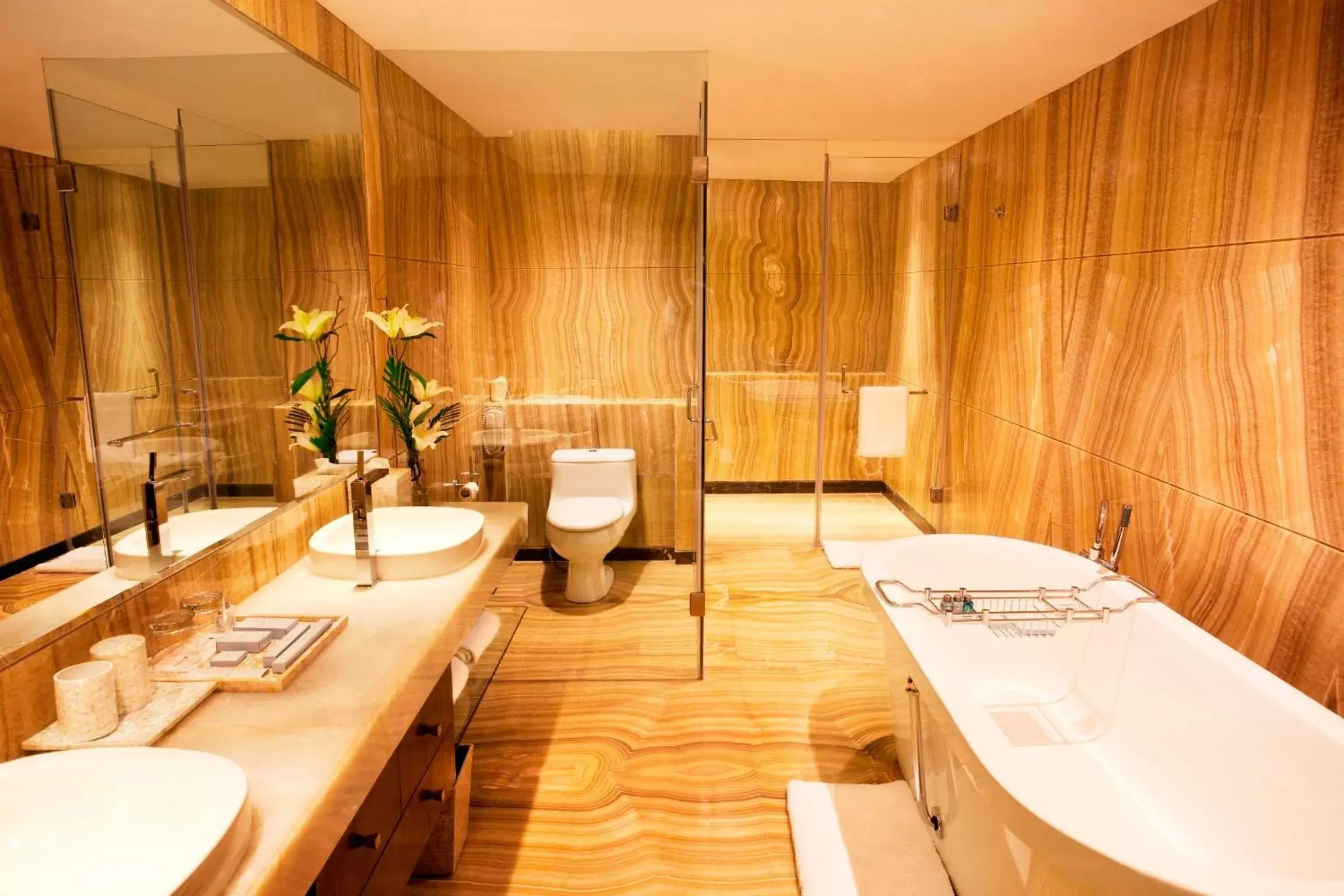 Bathroom in Radisson Blu Plaza Delhi Airport