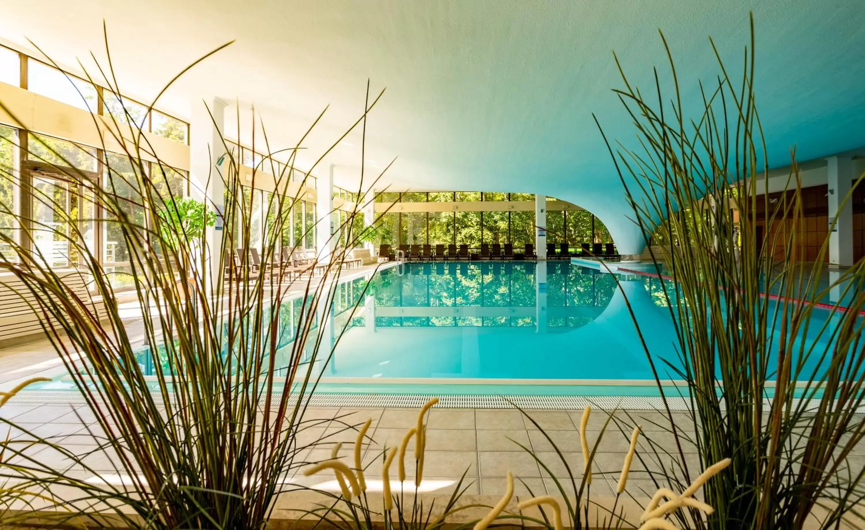 Swimming Pool in Cliff Hotel Rügen