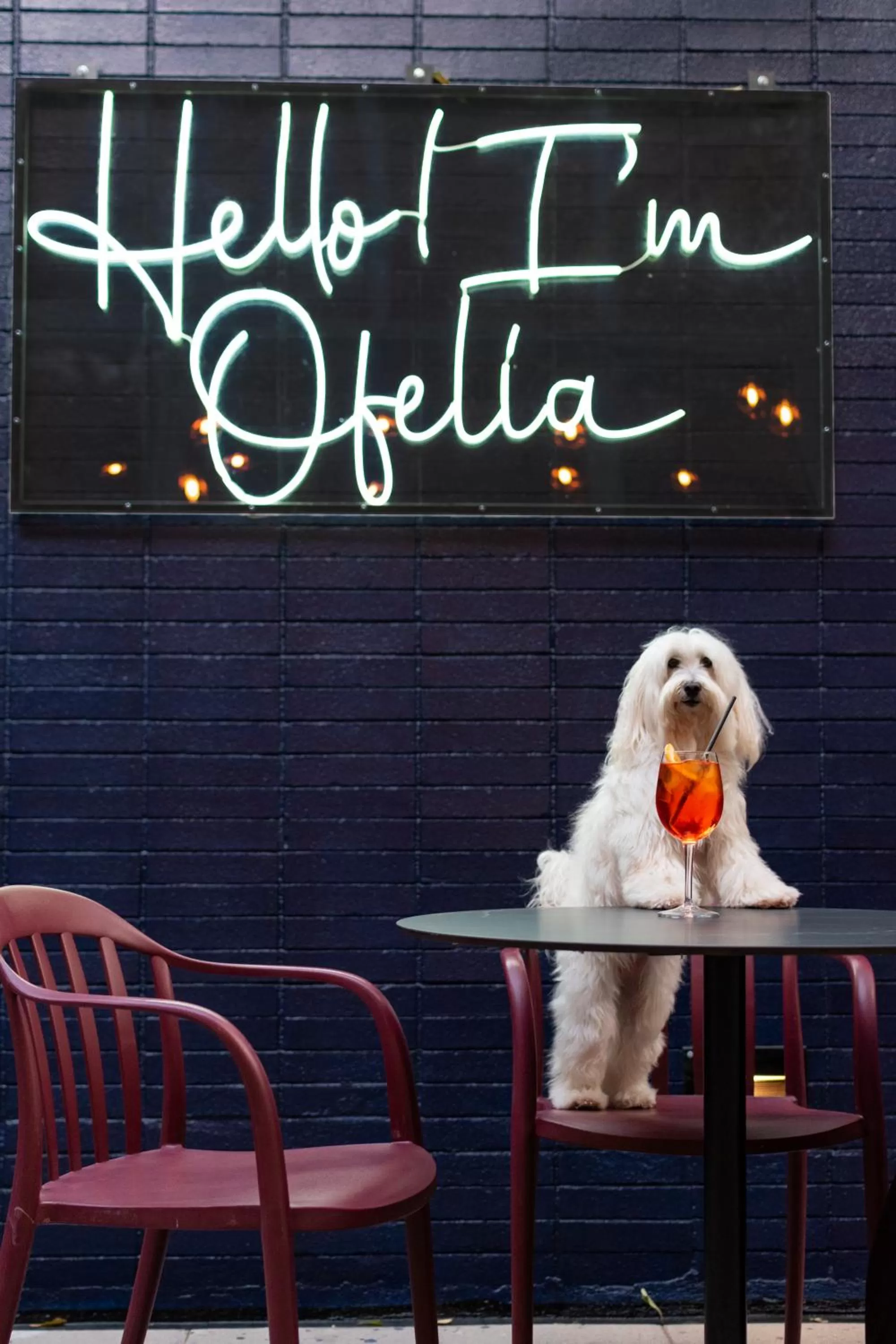 Restaurant/places to eat in Pullman Santiago Vitacura