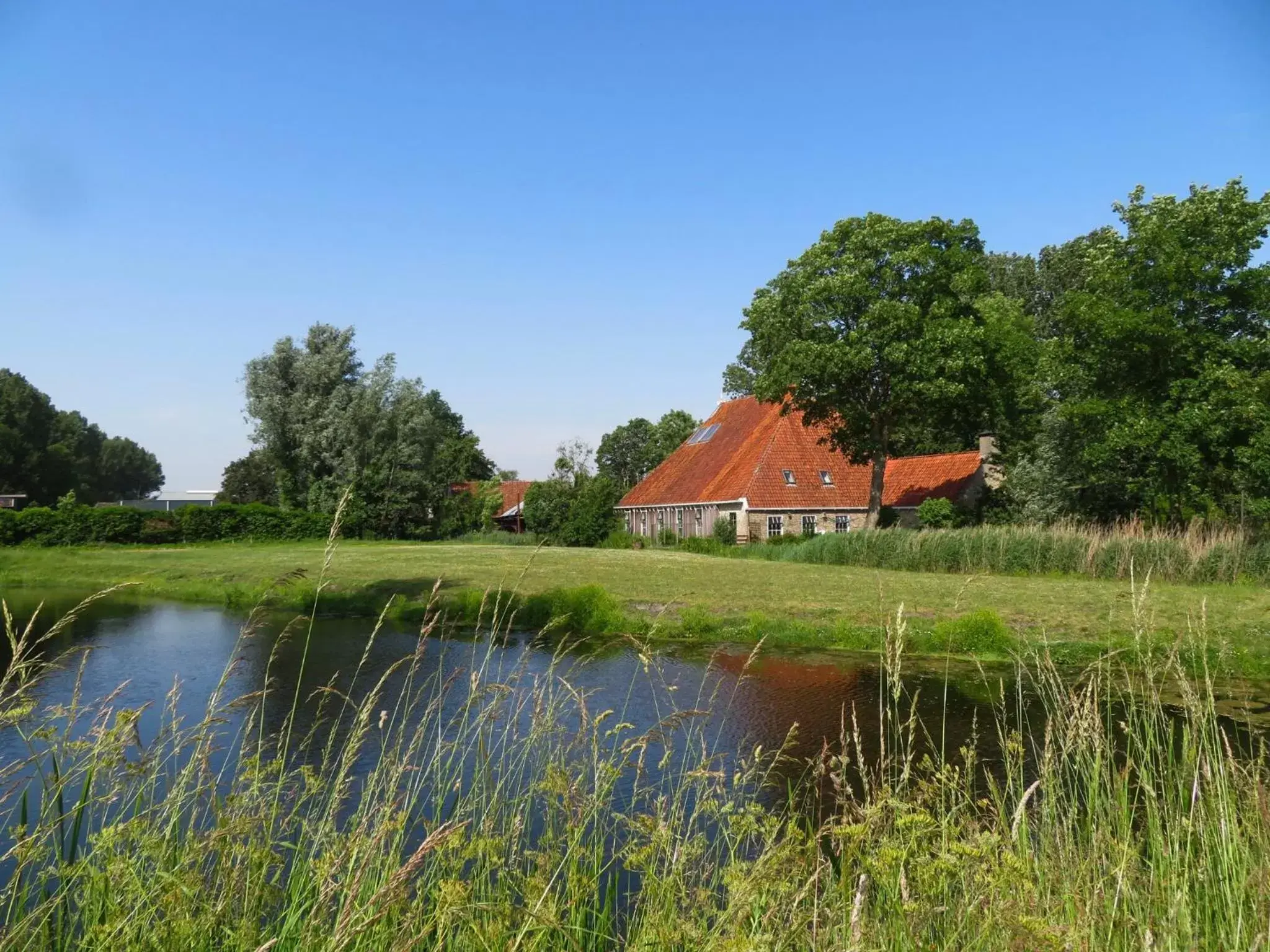 Neighbourhood in Friese Hoeve Sneek