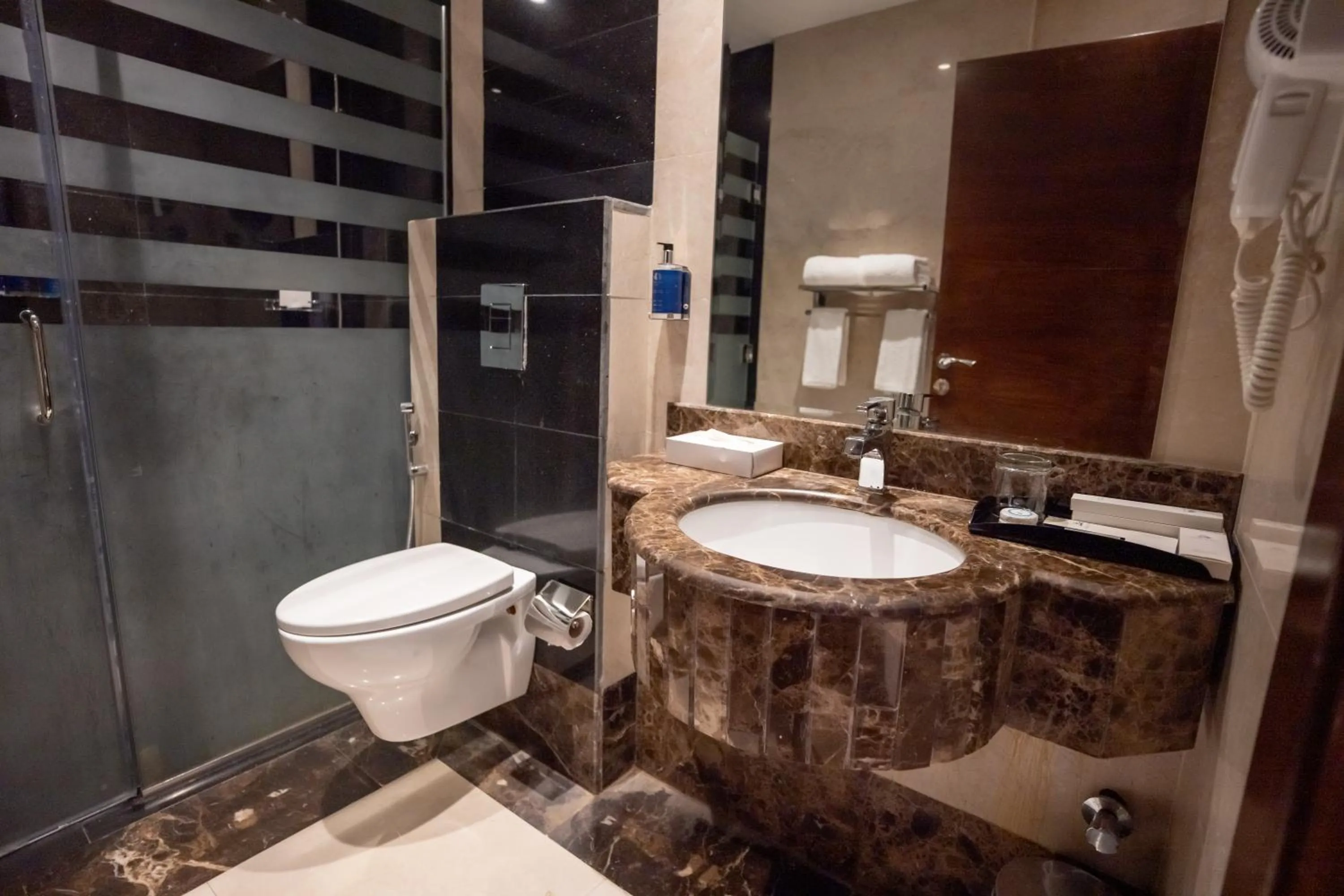 Bathroom in Rosemond Al Hamra