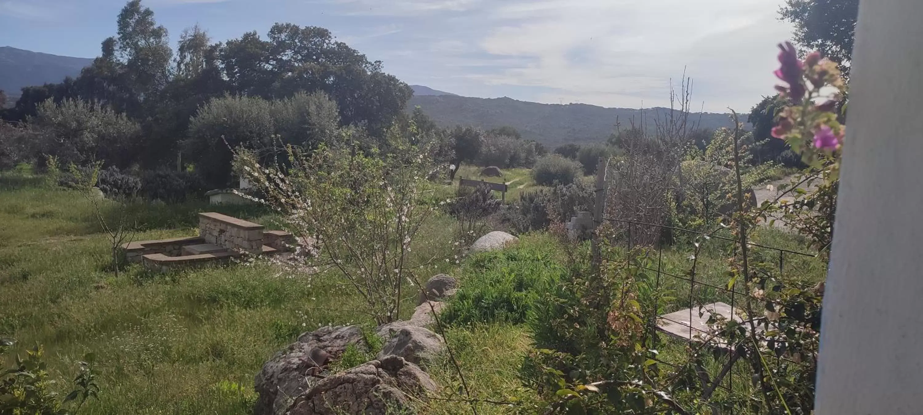 View (from property/room) in B&B Il Nuraghe