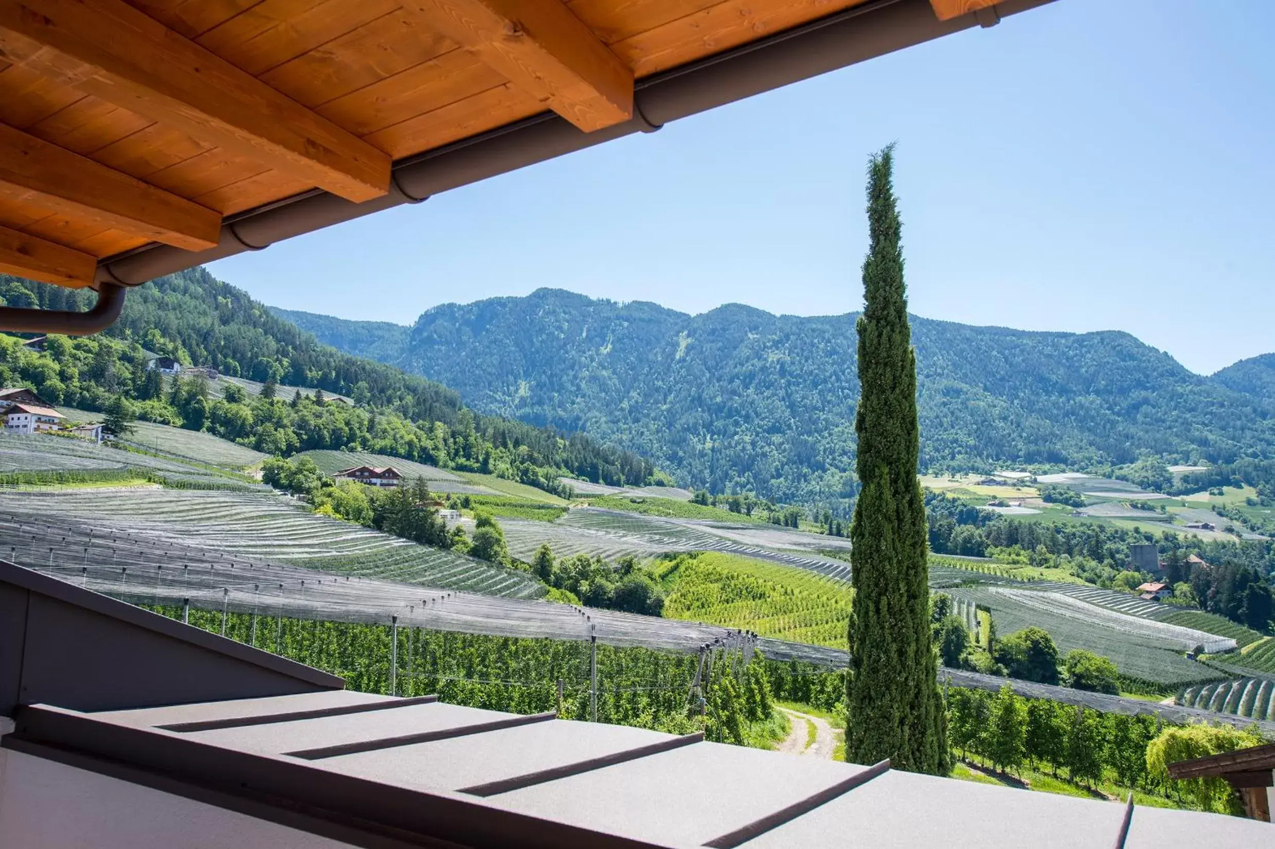 Natural landscape, Mountain View in Hotel-Garni Ehrenfels