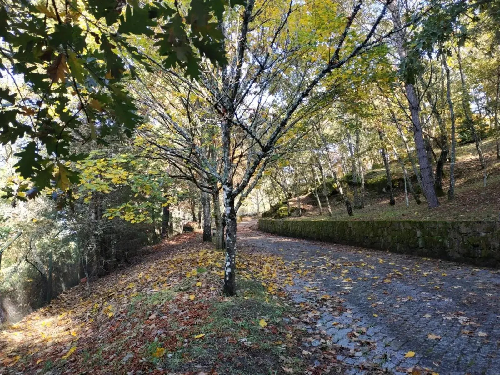 Garden in Casa de Apeleiras