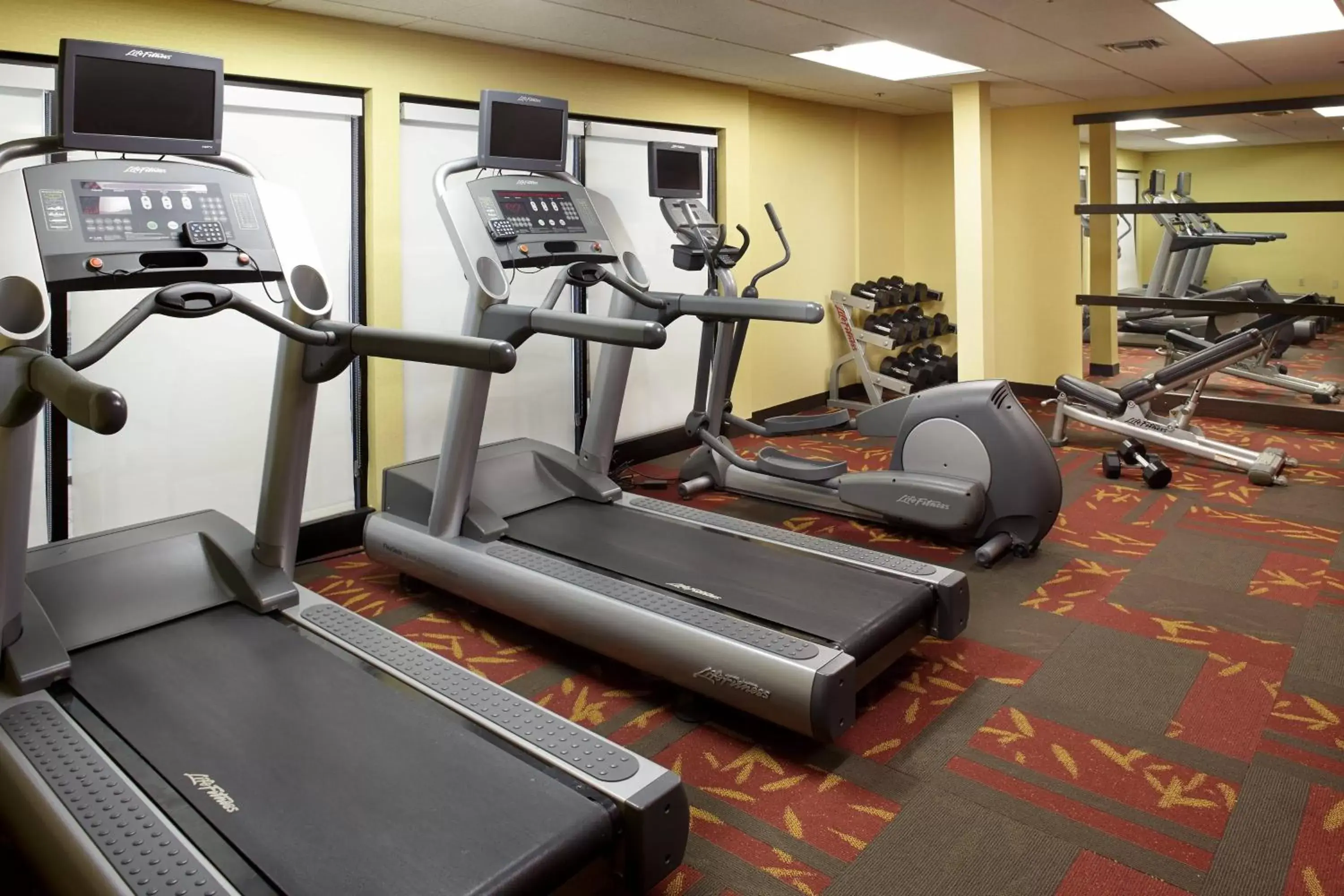 Fitness centre/facilities, Fitness Center/Facilities in Courtyard Detroit Brighton