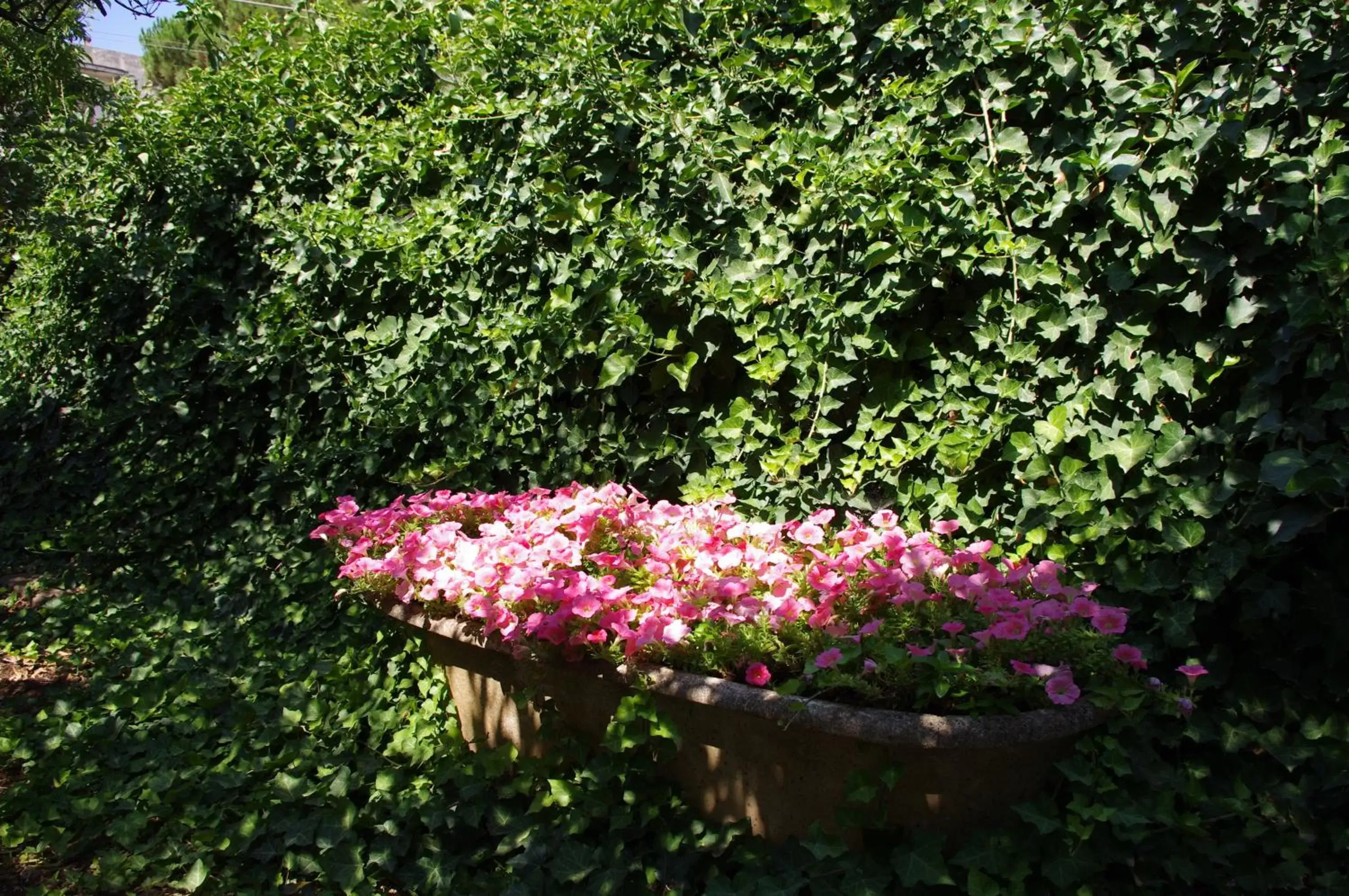 Garden in La Piccola Locanda