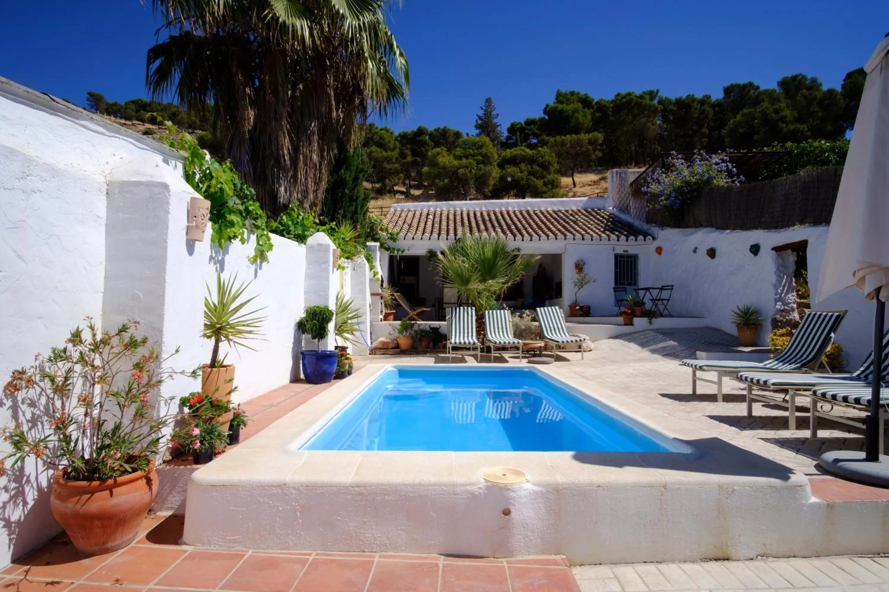 Swimming pool in Almohalla51