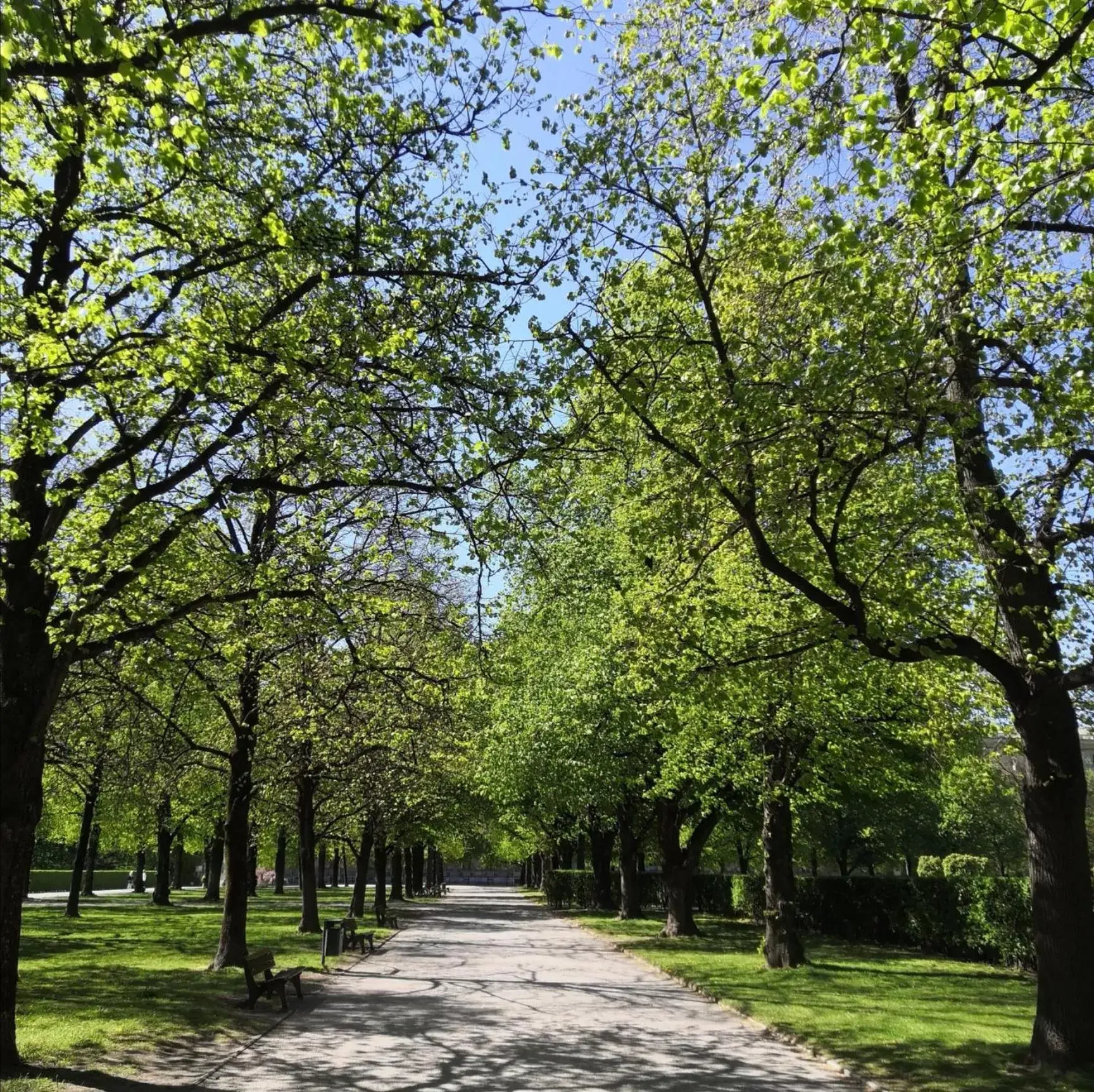 Natural landscape in Ampervilla Hotel