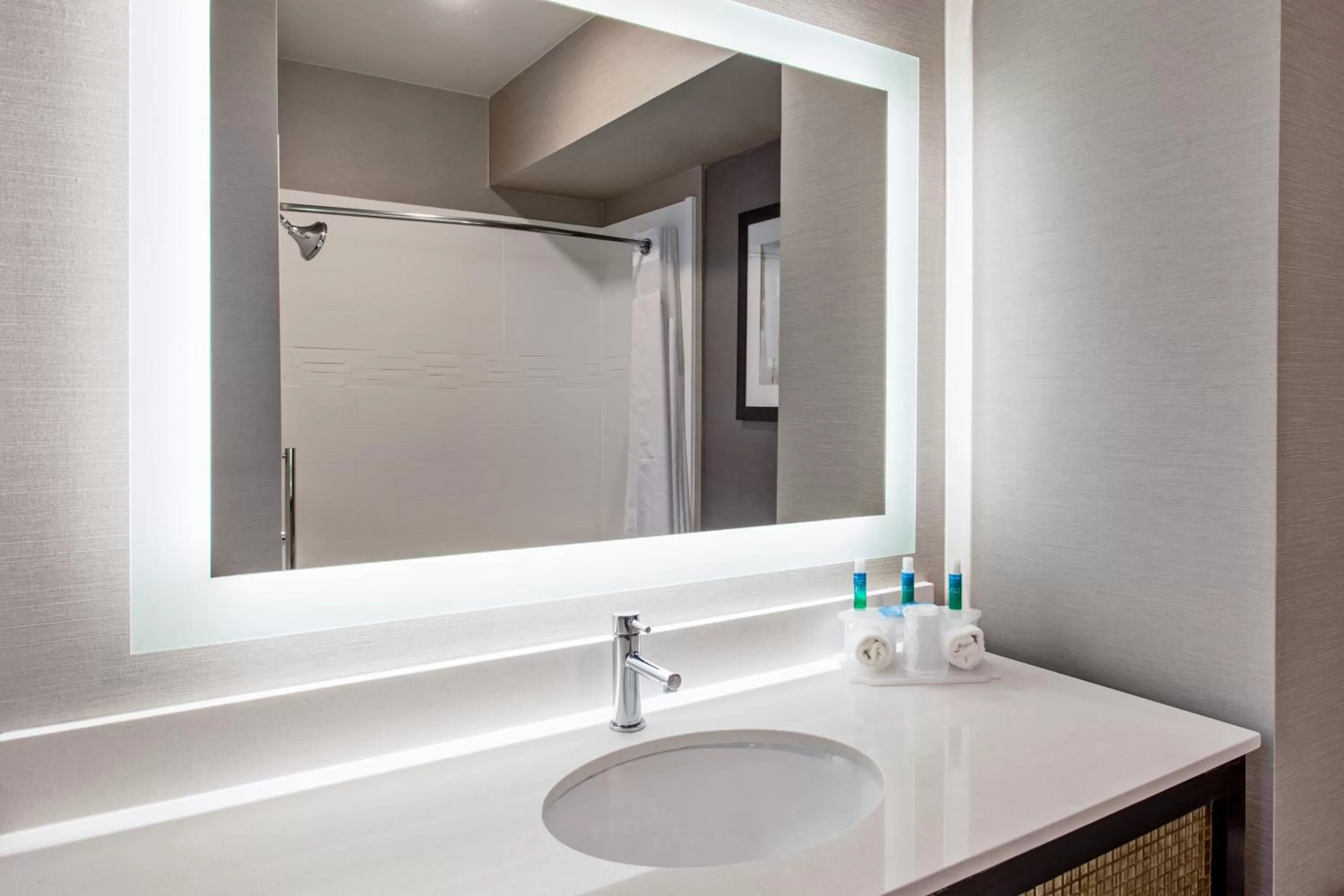 Bathroom in Holiday Inn Express & Suites Anaheim Resort Area by IHG