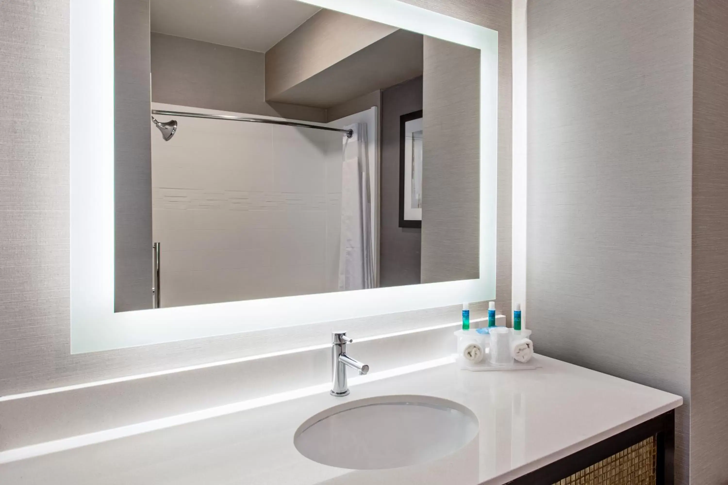 Bathroom in Holiday Inn Express & Suites Anaheim Resort Area, an IHG Hotel