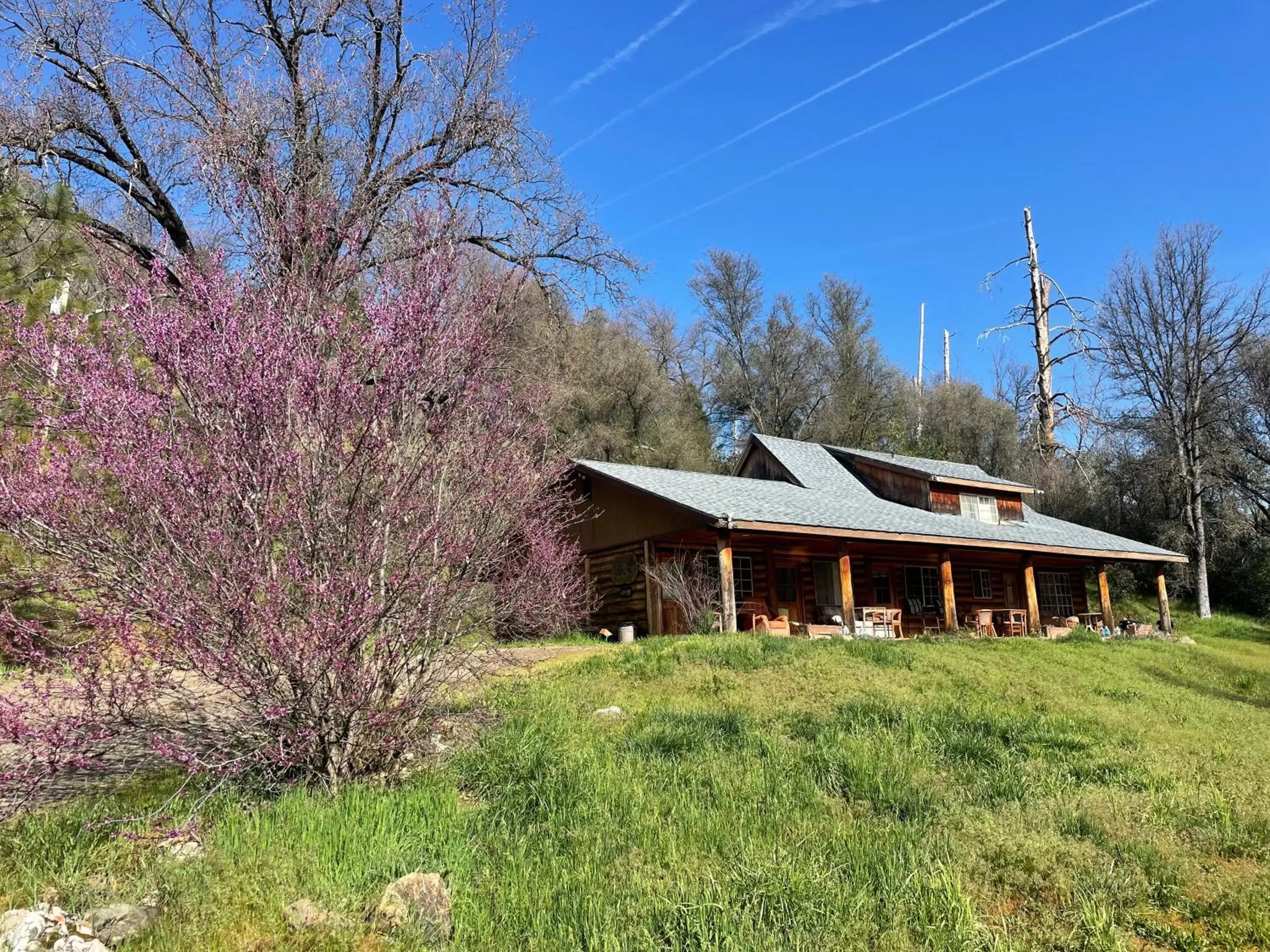 Property Building in Bear Creek Cabins