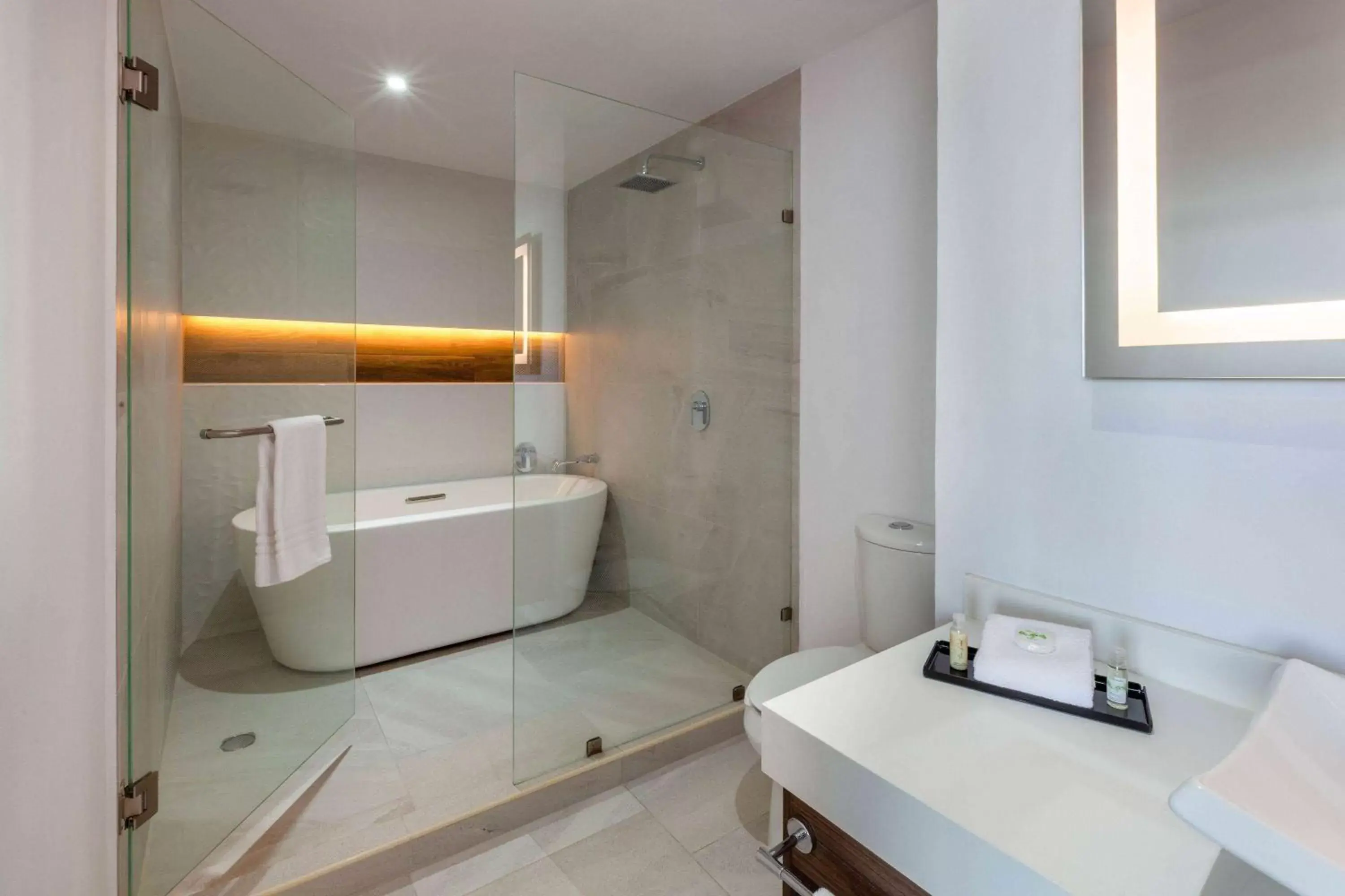 TV and multimedia in Wyndham Puebla Angelopolis TV and multimedia in Wyndham Puebla Angelopolis