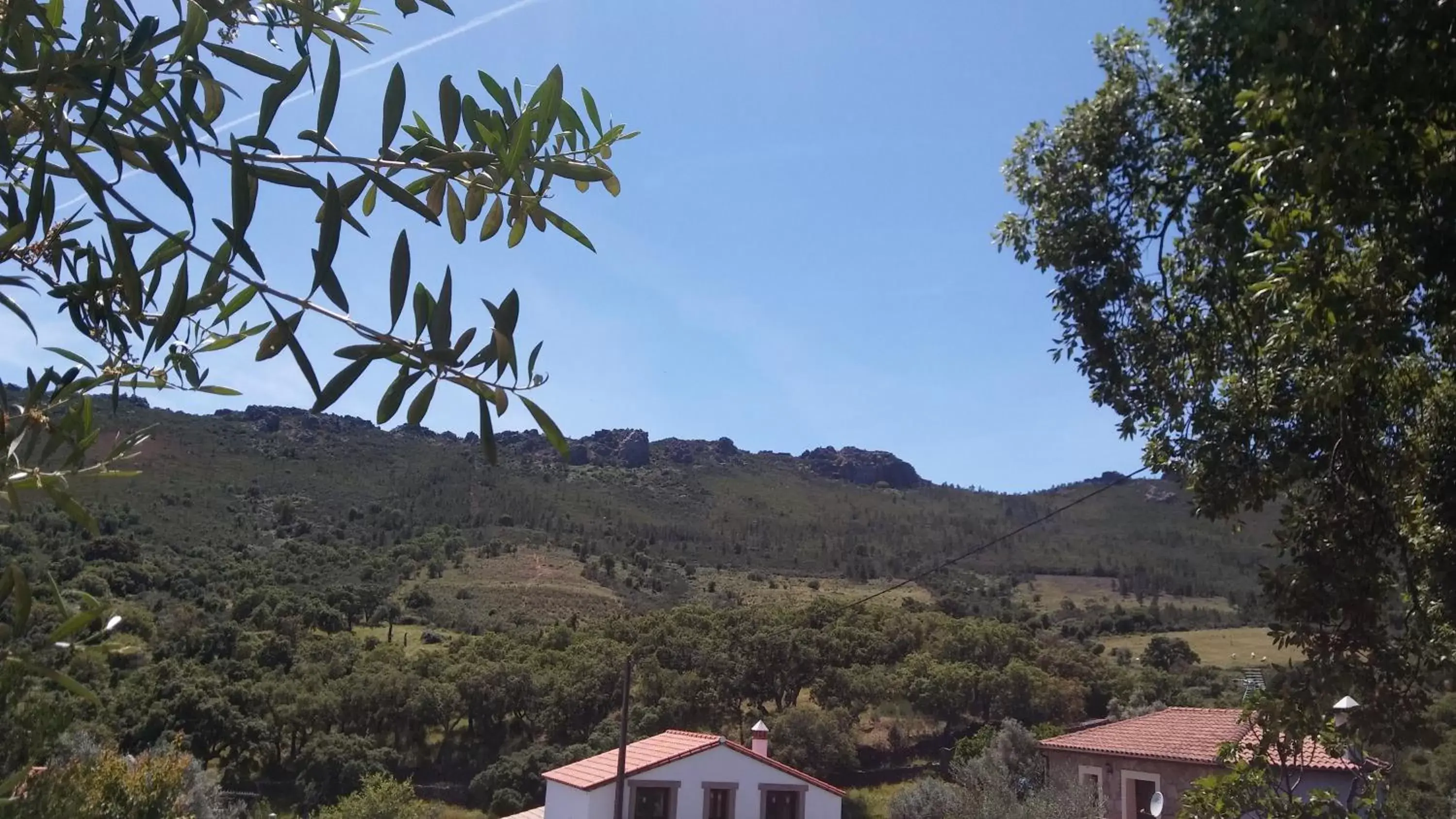 La Cabaña Romantica de Llano