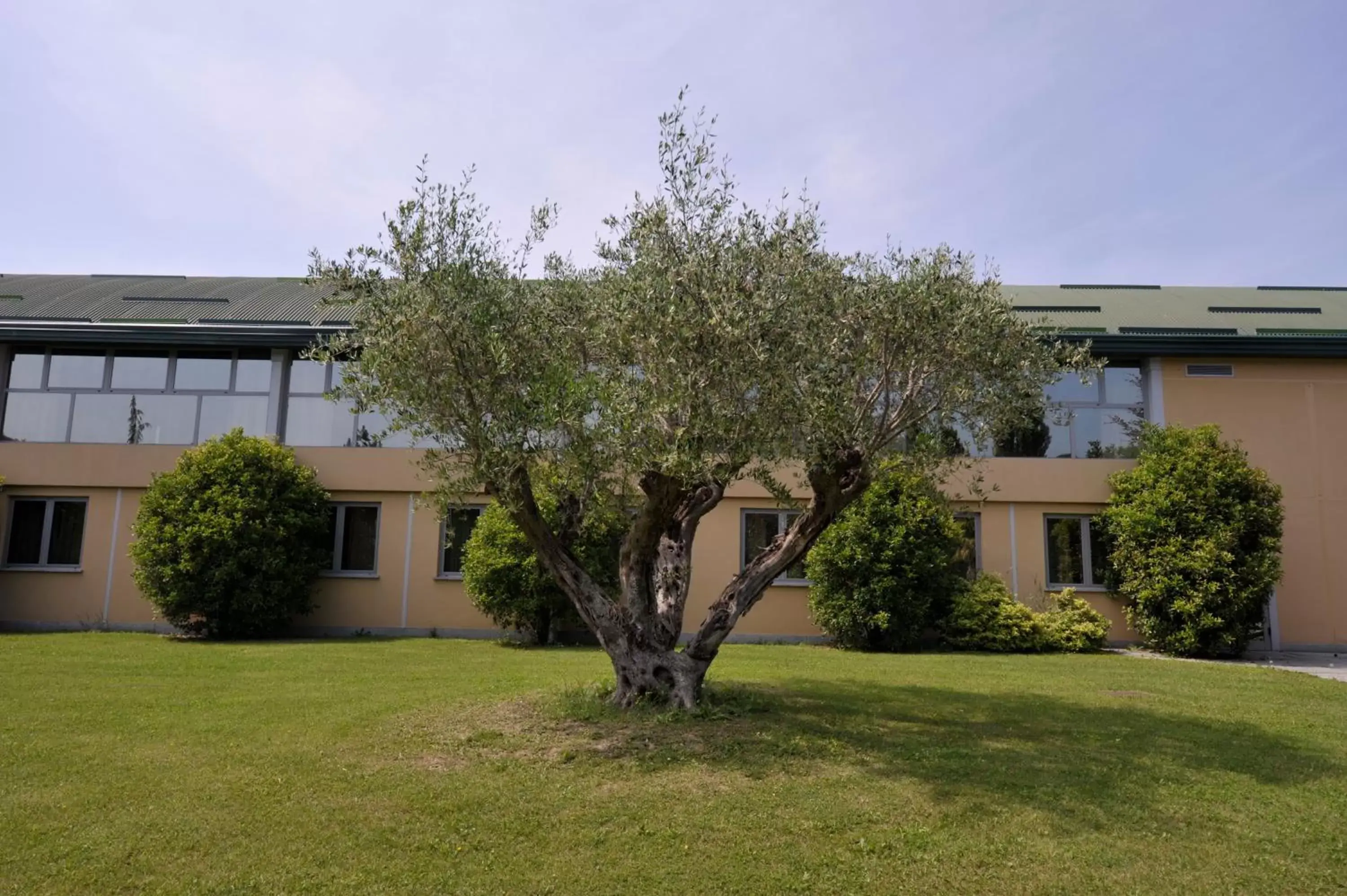 Garden, Property Building in Parco Hotel Sassi