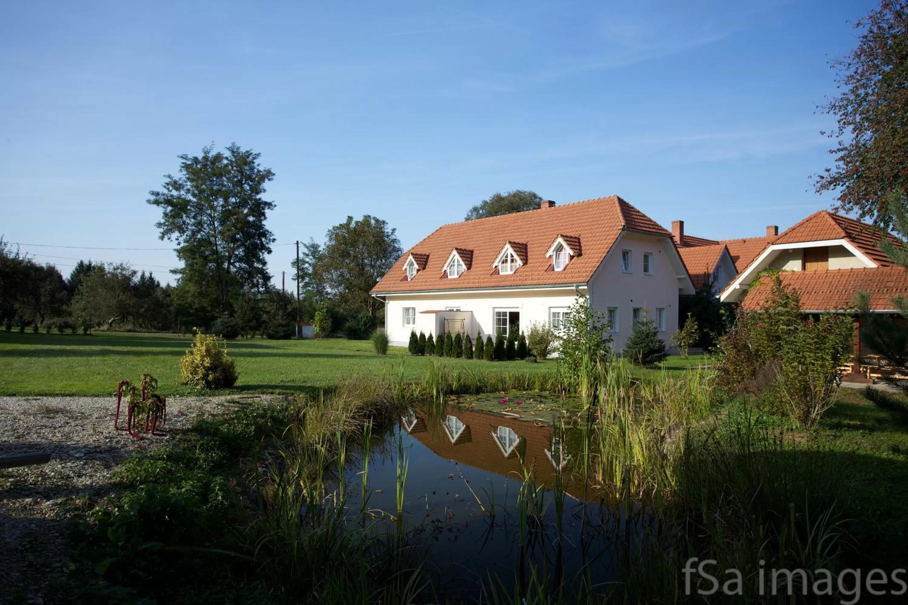 Area and facilities in Hotel Zsida