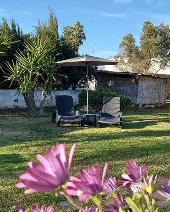 Garden in Chalet del Mare