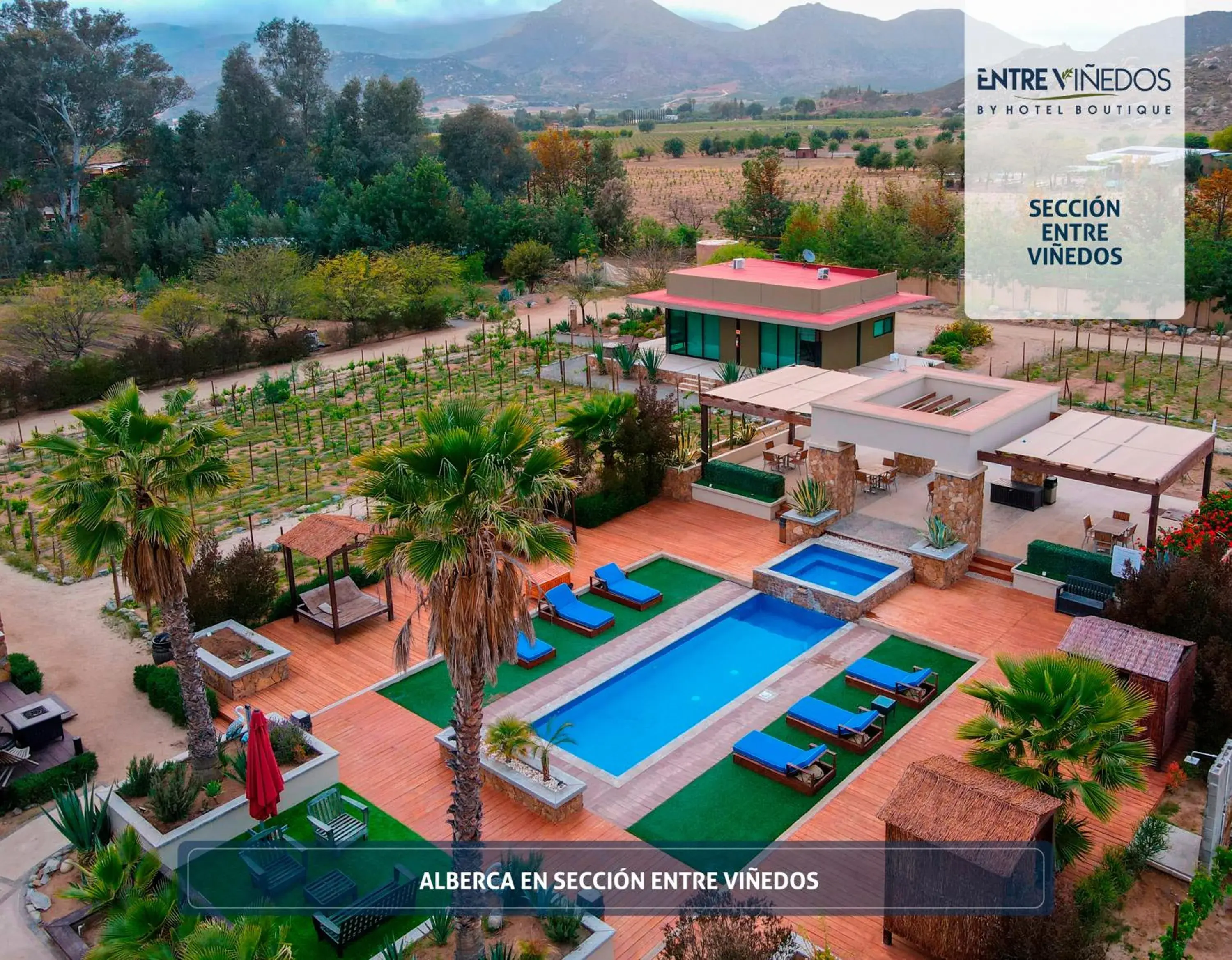 Pool view in Hotel Boutique Valle de Guadalupe