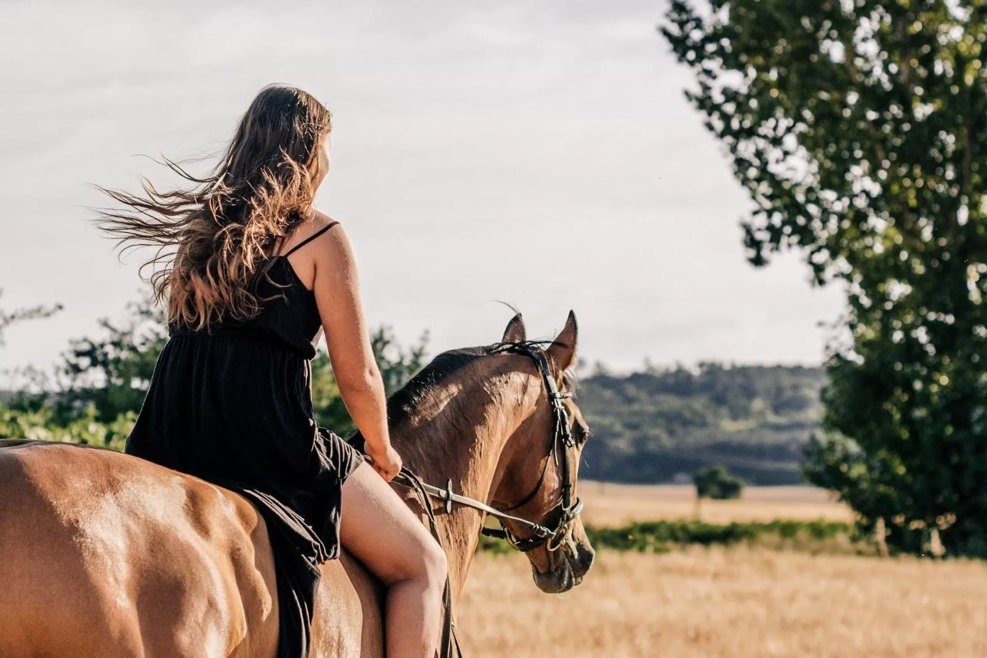 Horse-riding in Le Petit Chateau De Sainte Colombe