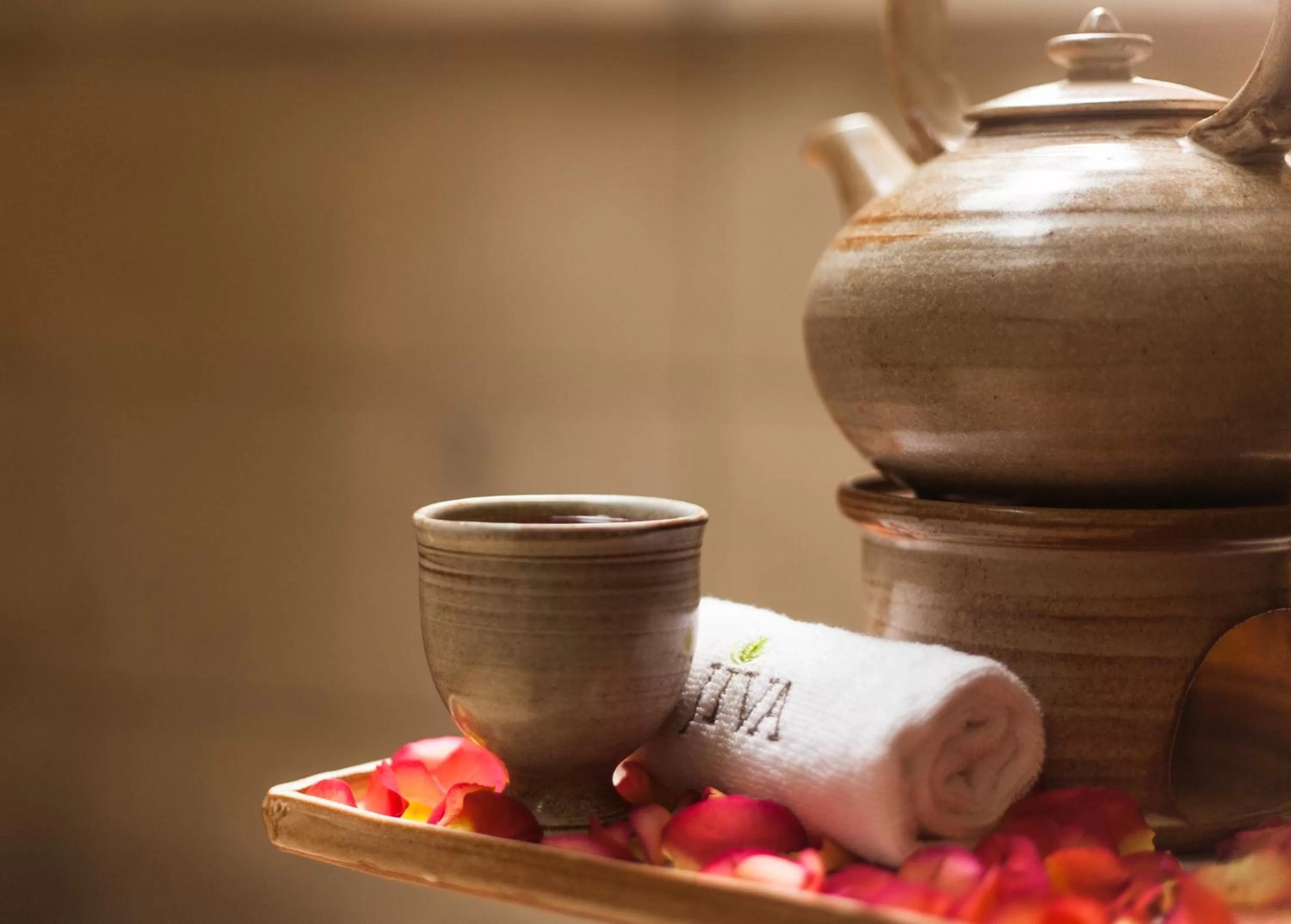 Spa and wellness centre/facilities in Taj Surajkund Resort & Spa, Delhi NCR