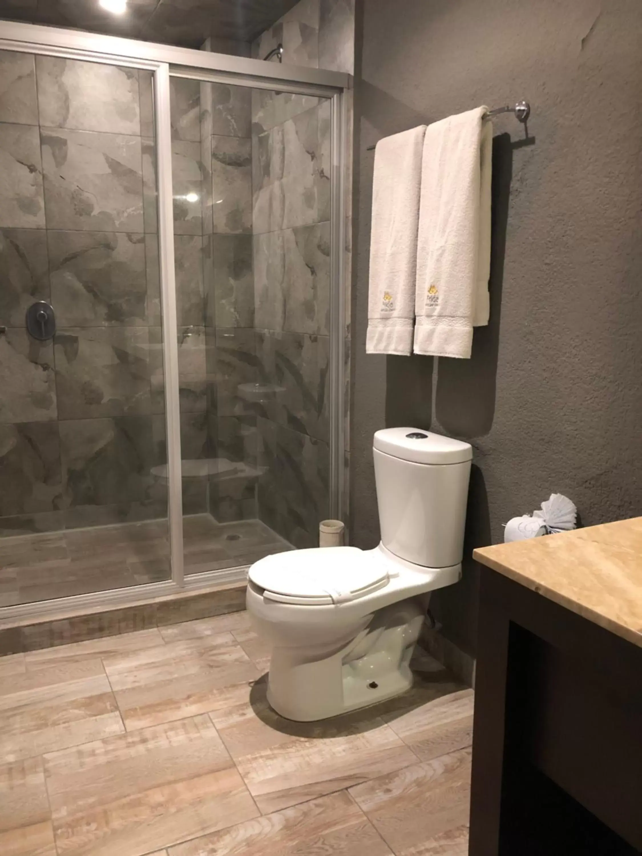 Bathroom in Hotel Frida