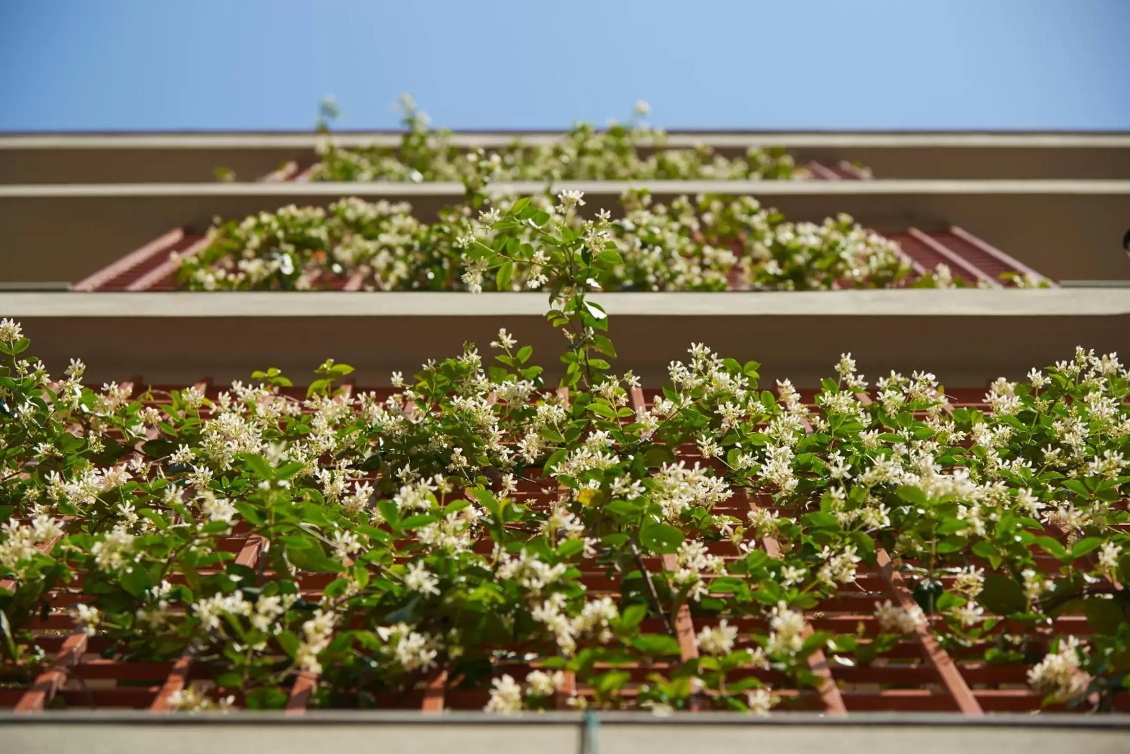 Property building in Forte16 View & SPA Property building in Forte16 View & SPA