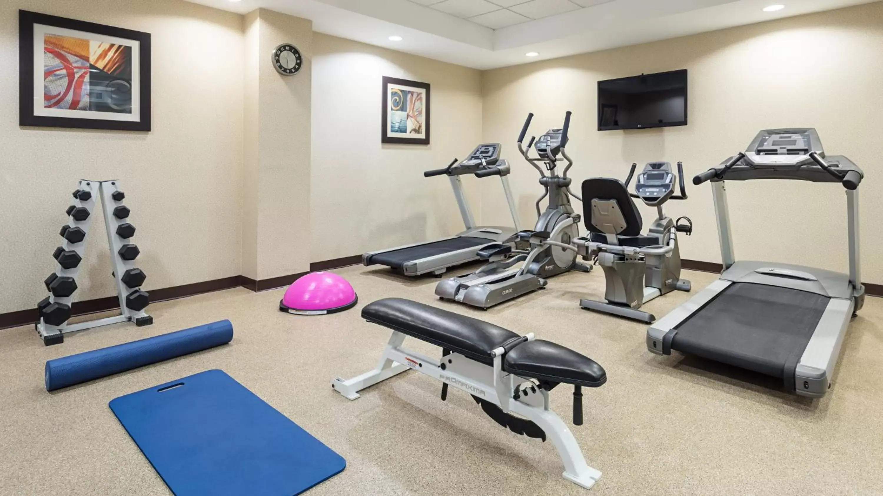 Fitness centre/facilities, Fitness Center/Facilities in Holiday Inn Lower East Side, an IHG Hotel