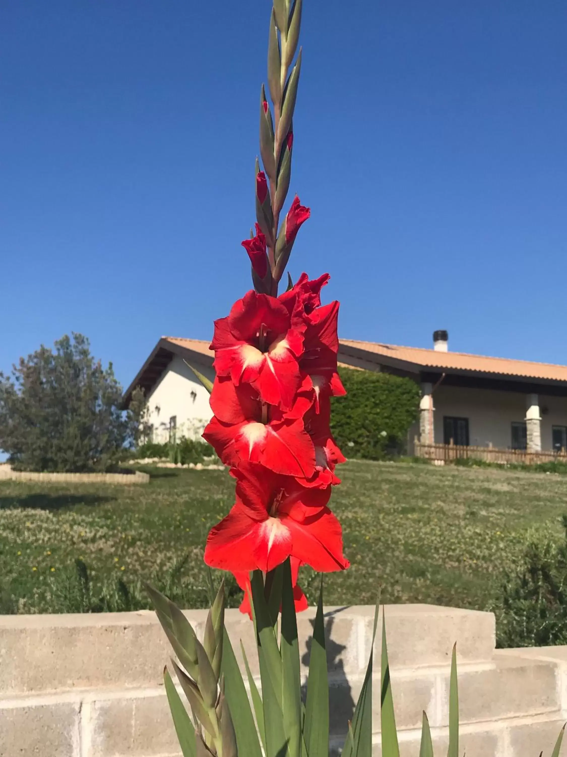 Garden, Property Building in La collina delle fonti