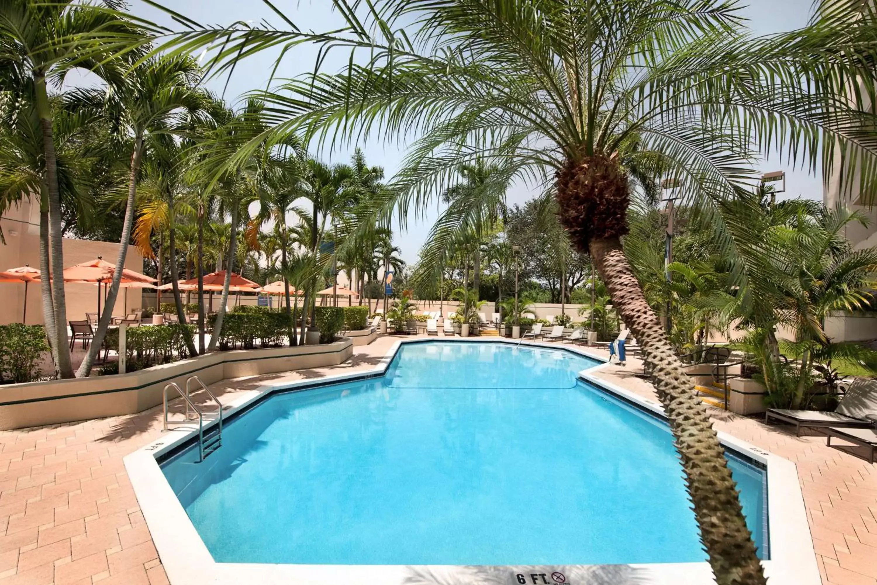 Pool view, Swimming Pool in Embassy Suites Boca Raton