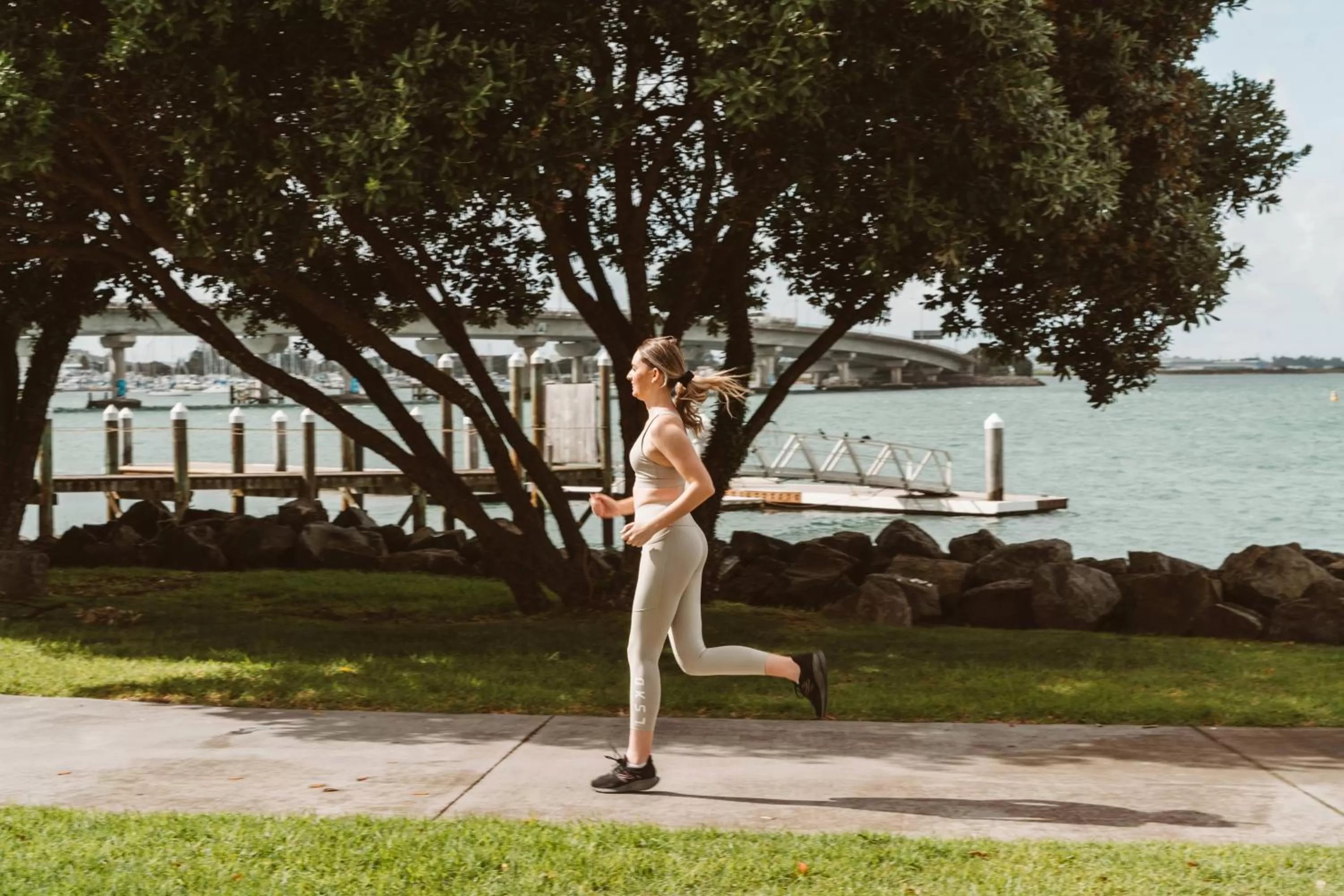 Neighbourhood in Trinity Wharf Tauranga