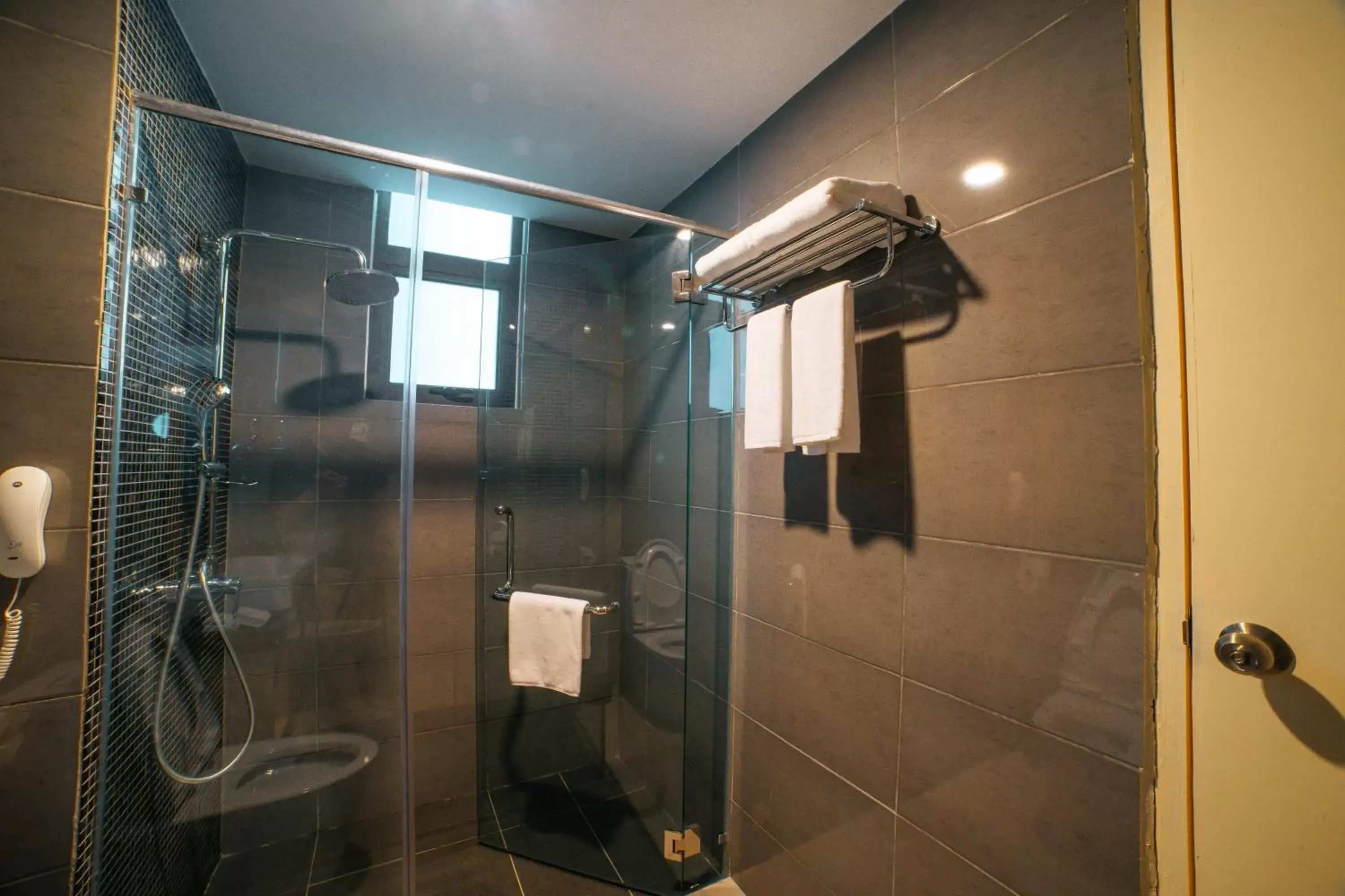 Shower, Bathroom in Swiss-Belhotel Kuantan