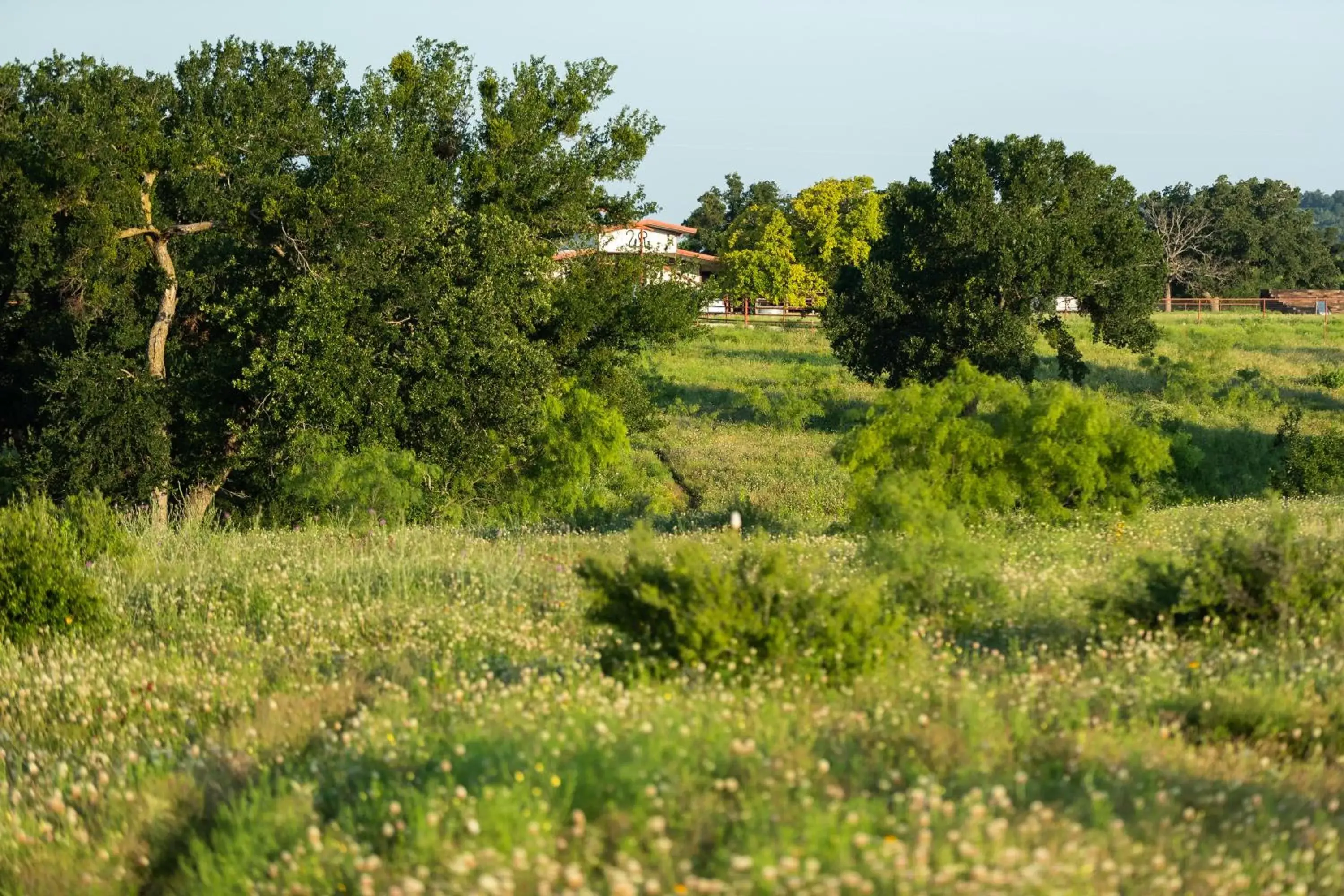 Natural landscape, Garden in Wildcatter Ranch and Resort