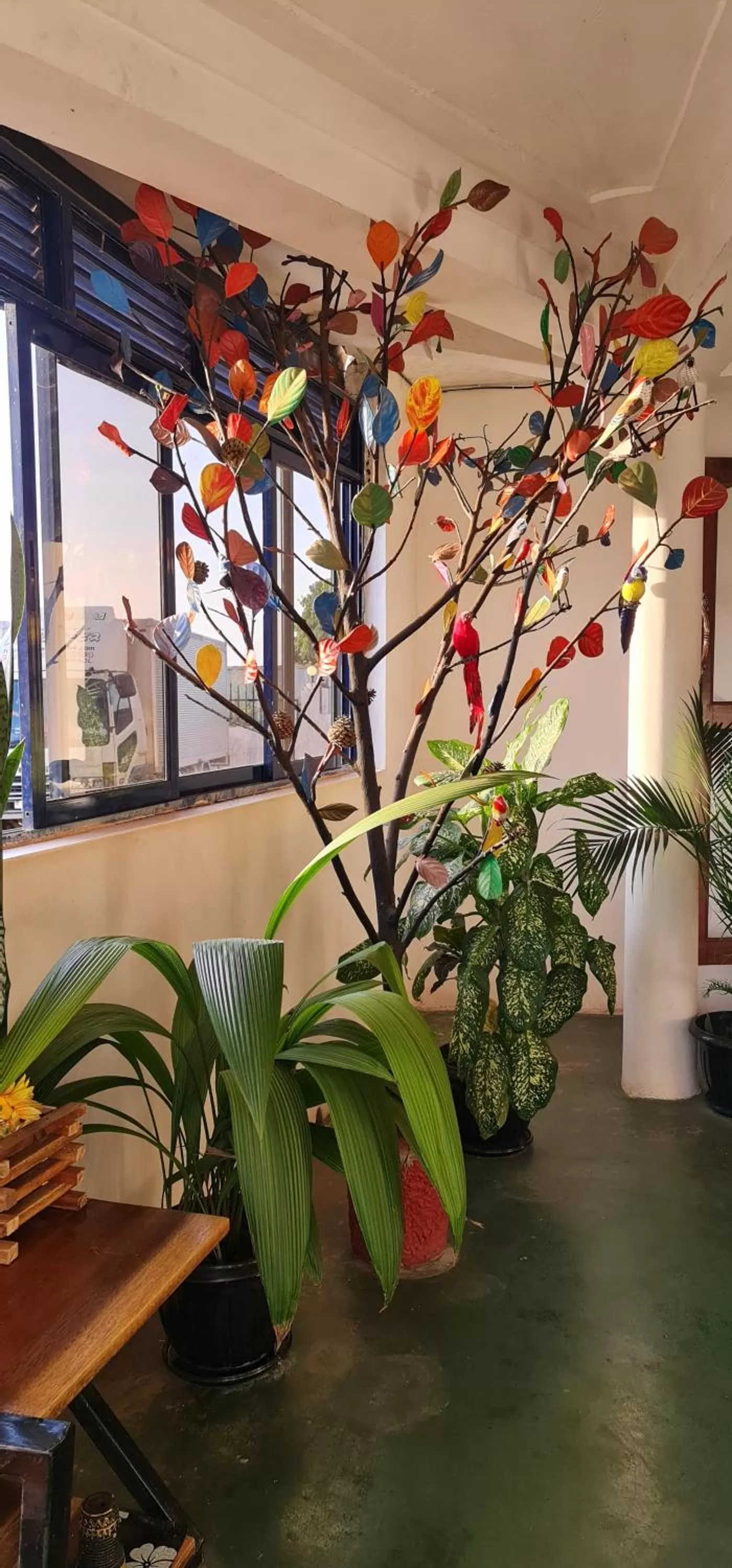 Lobby or reception in Northern Pearl