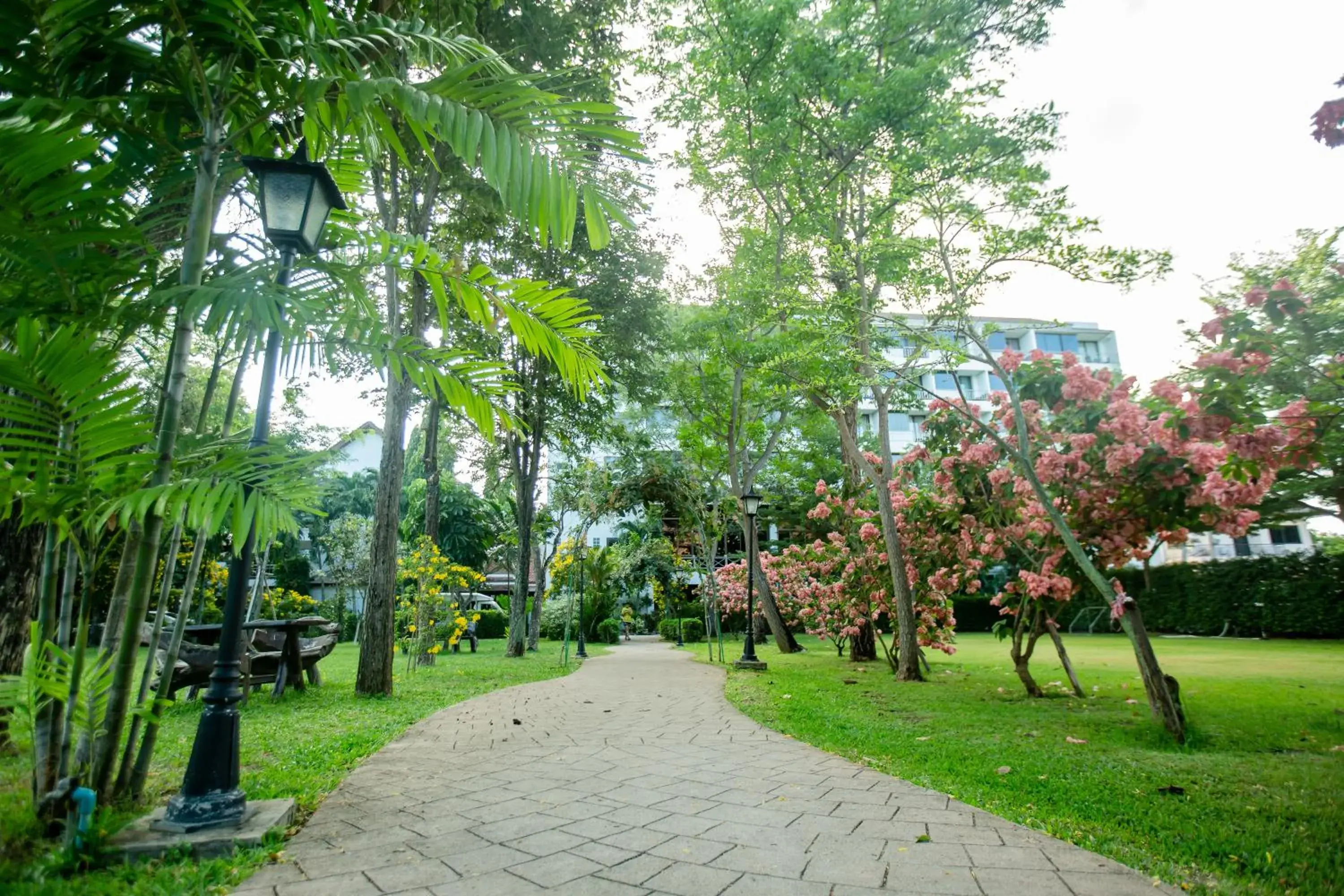 Garden in Pinnacle Grand Jomtien Resort and Beach Club - SHA Extra Plus