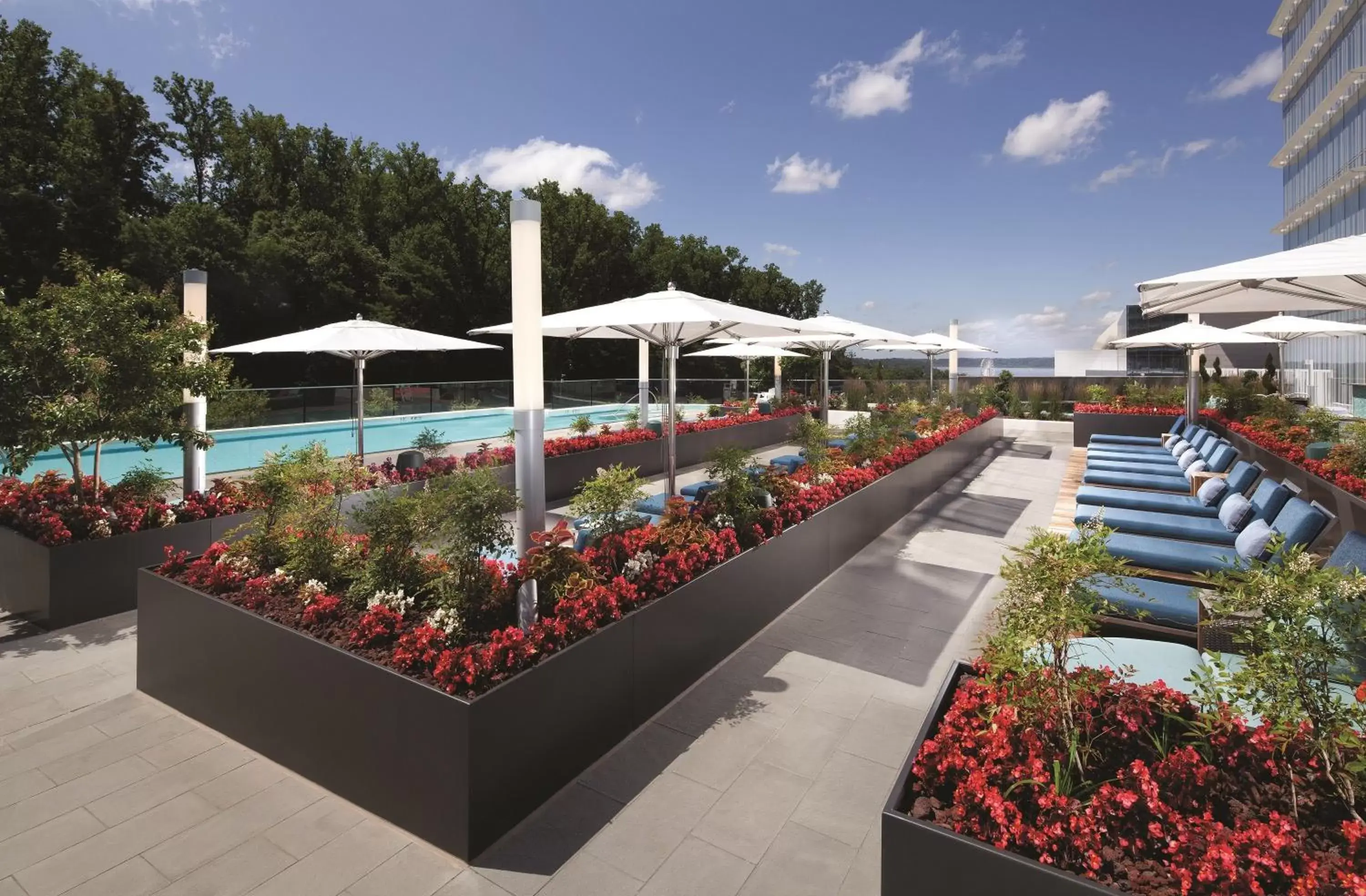 Swimming pool in MGM National Harbor Swimming pool in MGM National Harbor