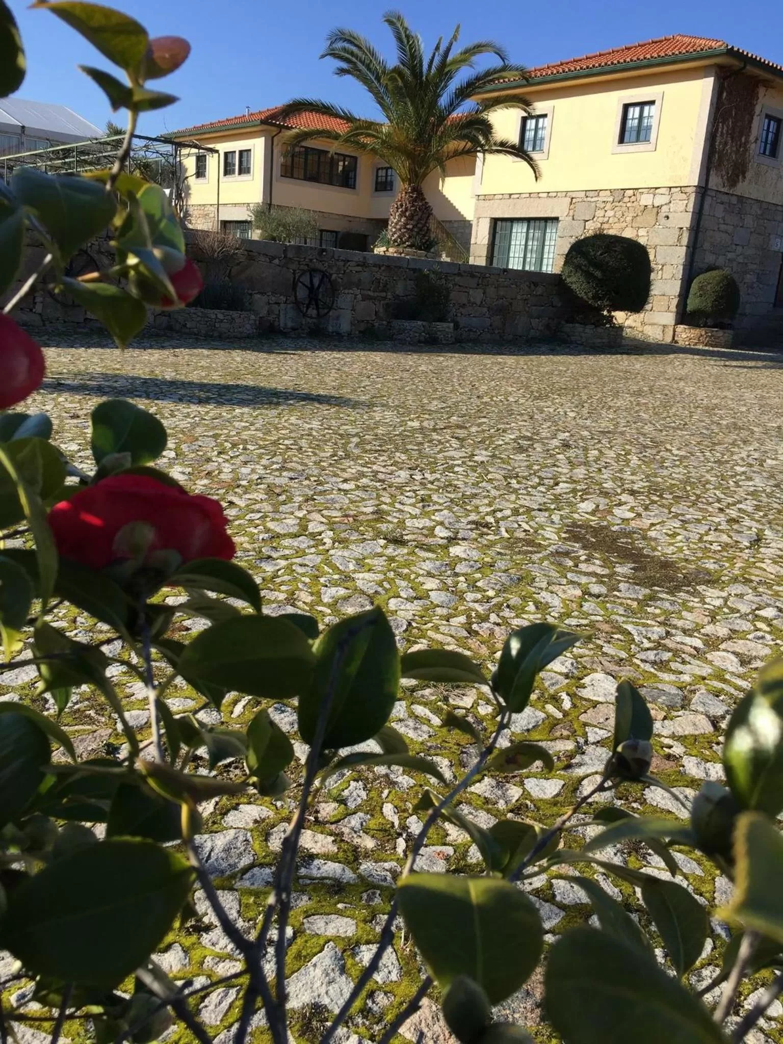 Quinta da Vinha Morta