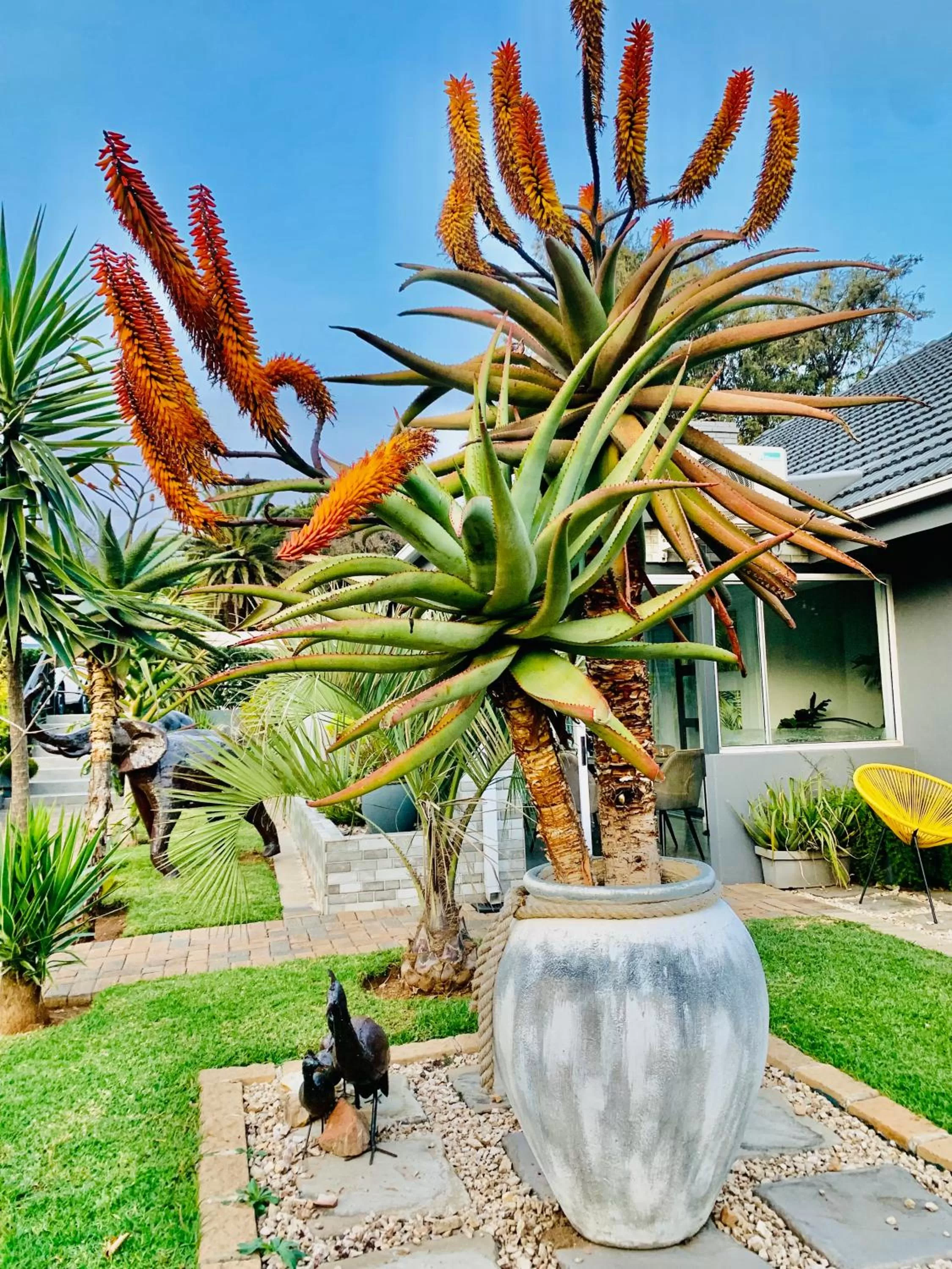 Other Animals in 24 On Basil Inventive suites