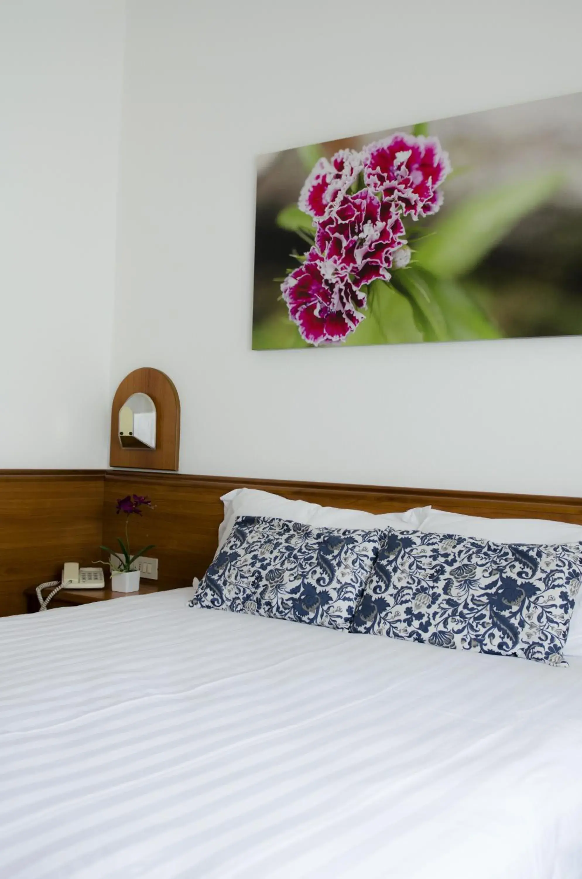 Standard Double or Twin Room - single occupancy in Hotel Everest