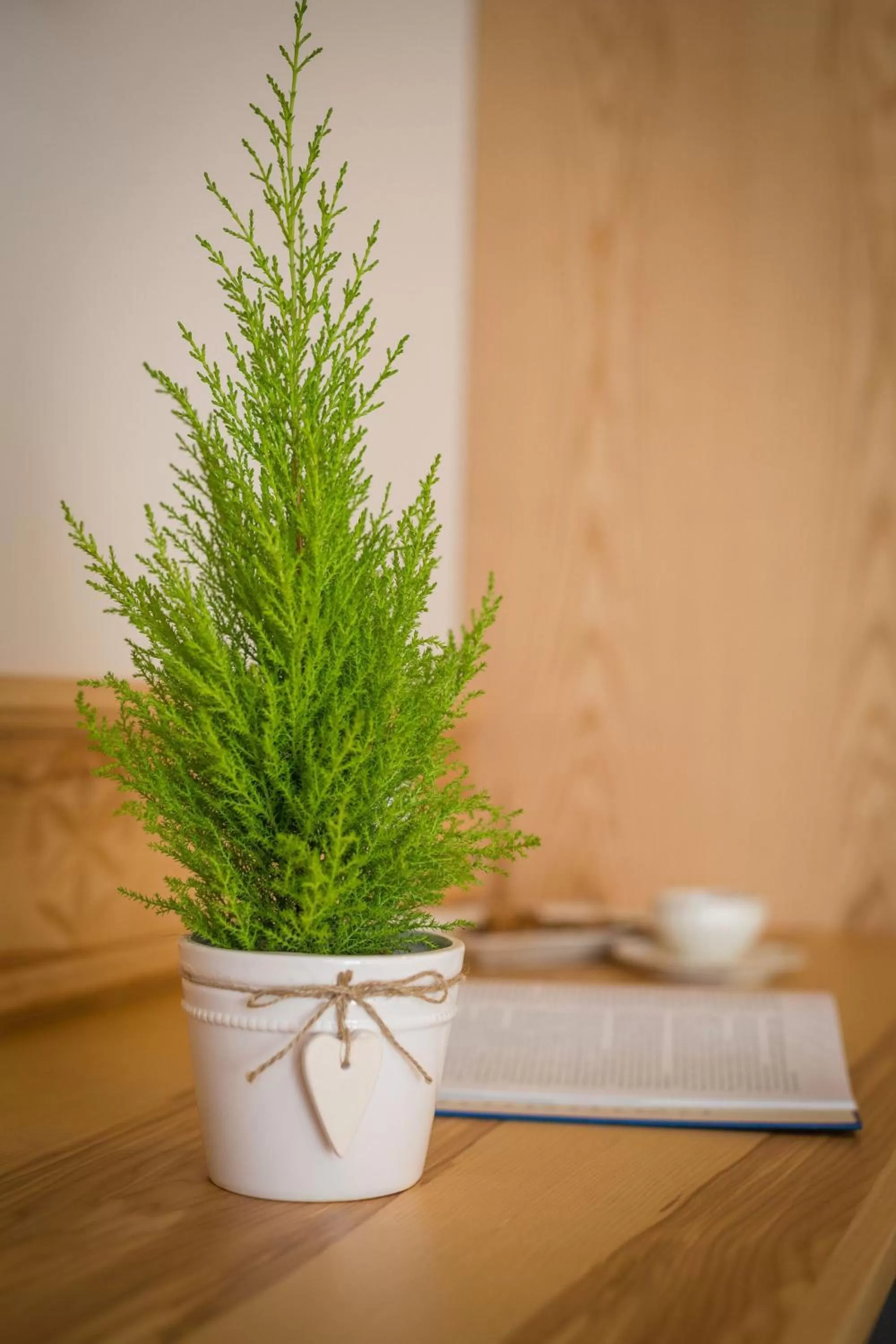 Other in Willa Góralsko Riwiera