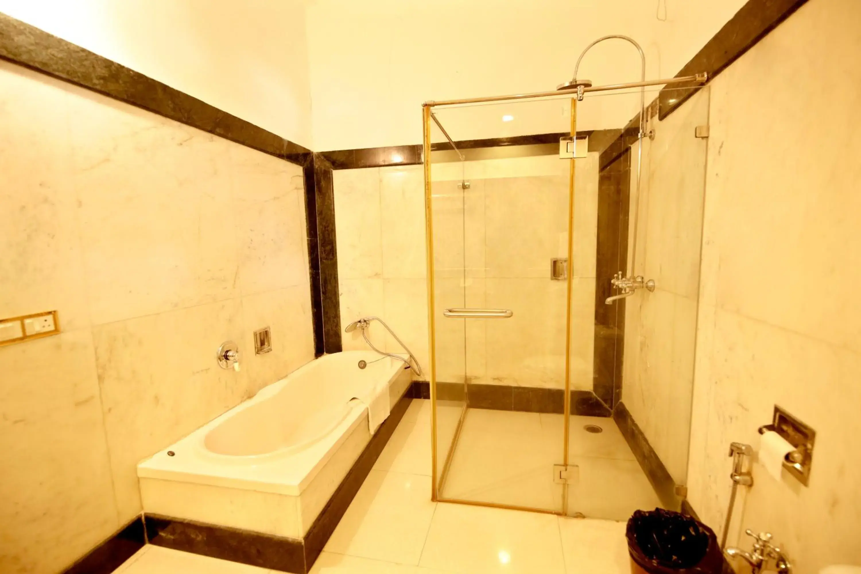 Shower, Bathroom in Hotel Narain Niwas Palace