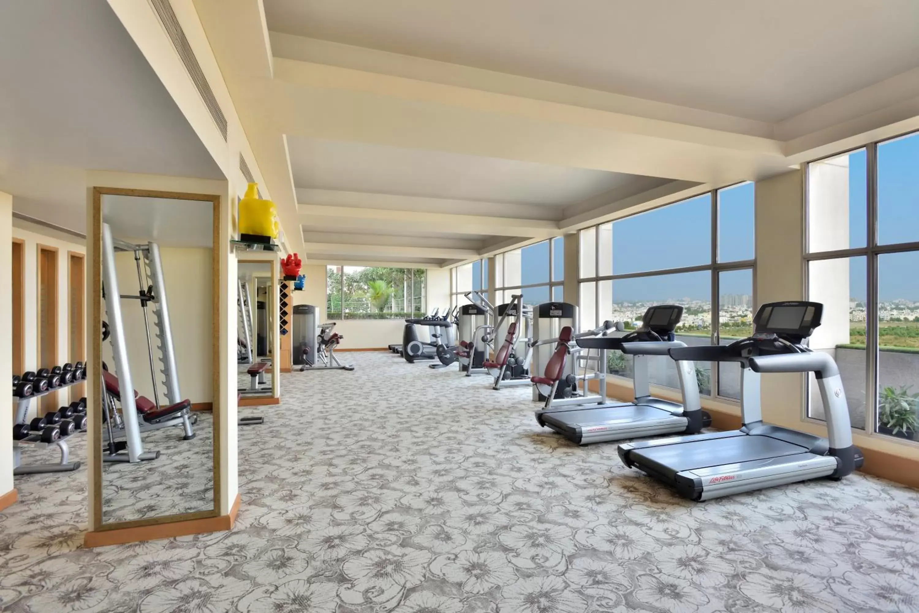 Fitness centre/facilities, Fitness Center/Facilities in Radisson Blu Hotel, Indore