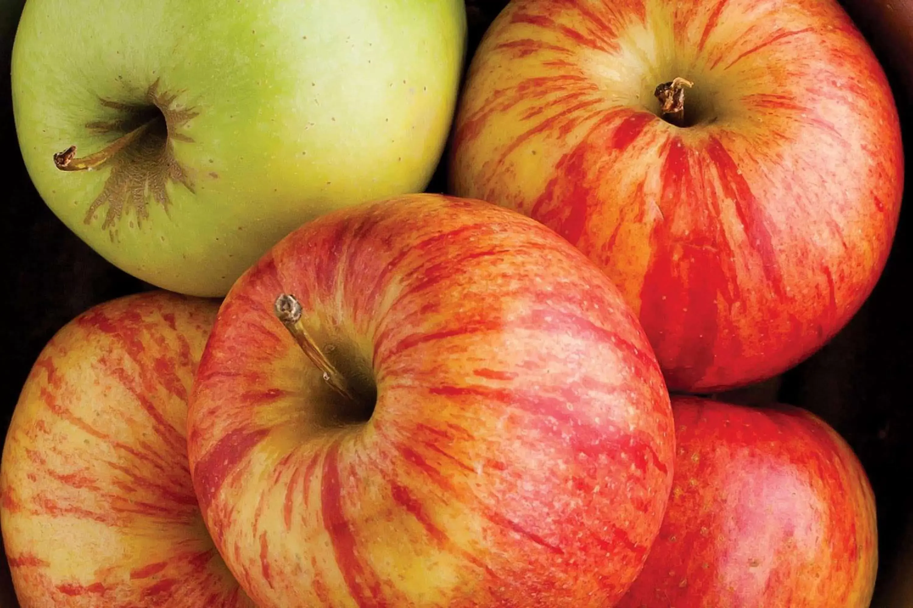 Restaurant/places to eat in La Quinta by Wyndham Cincinnati Airport Florence Restaurant/places to eat in La Quinta by Wyndham Cincinnati Airport Florence