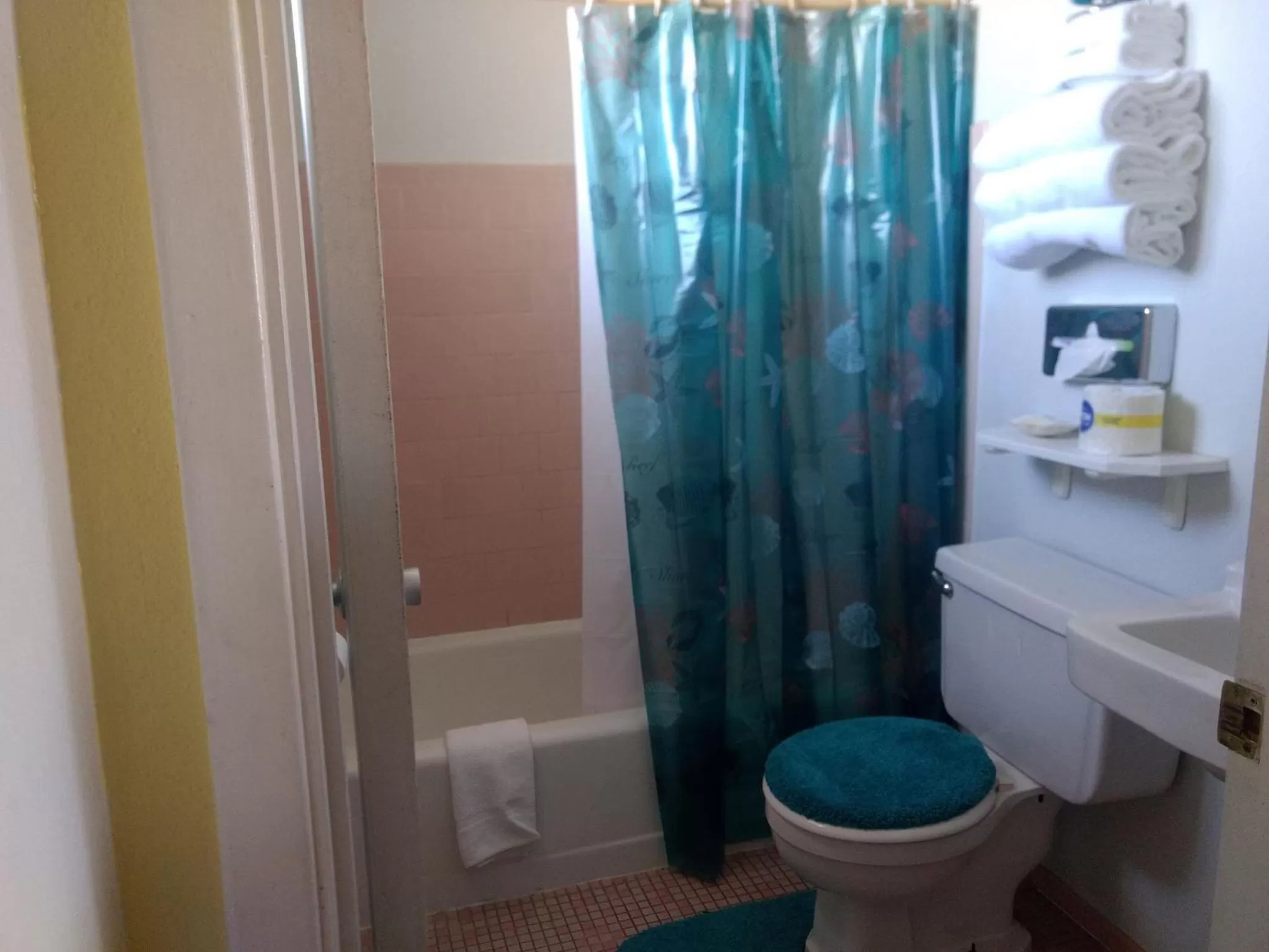 Bathroom in Stagecoach 66 Motel