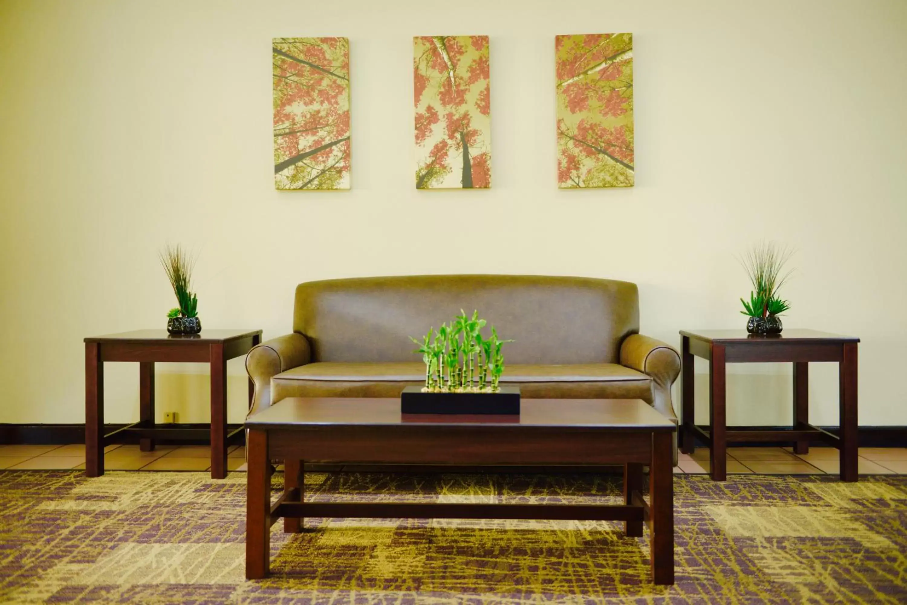 Lobby or reception, Seating Area in Red Roof Inn & Suites Commerce - Athens